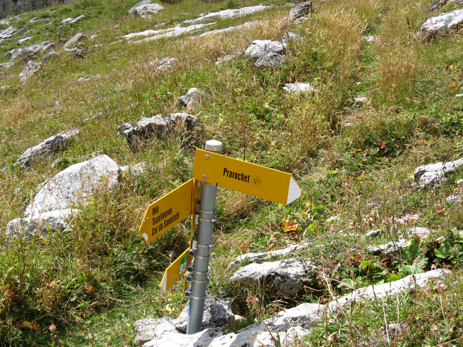 photo de Cabane de Prarochet