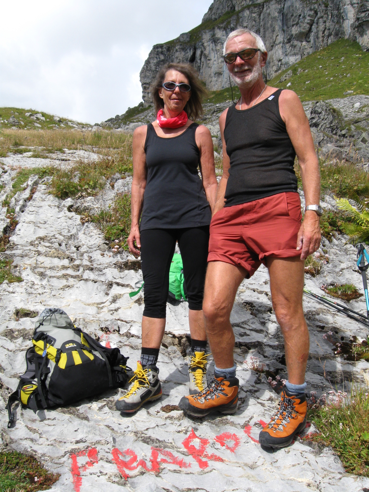 photo de Cabane de Prarochet