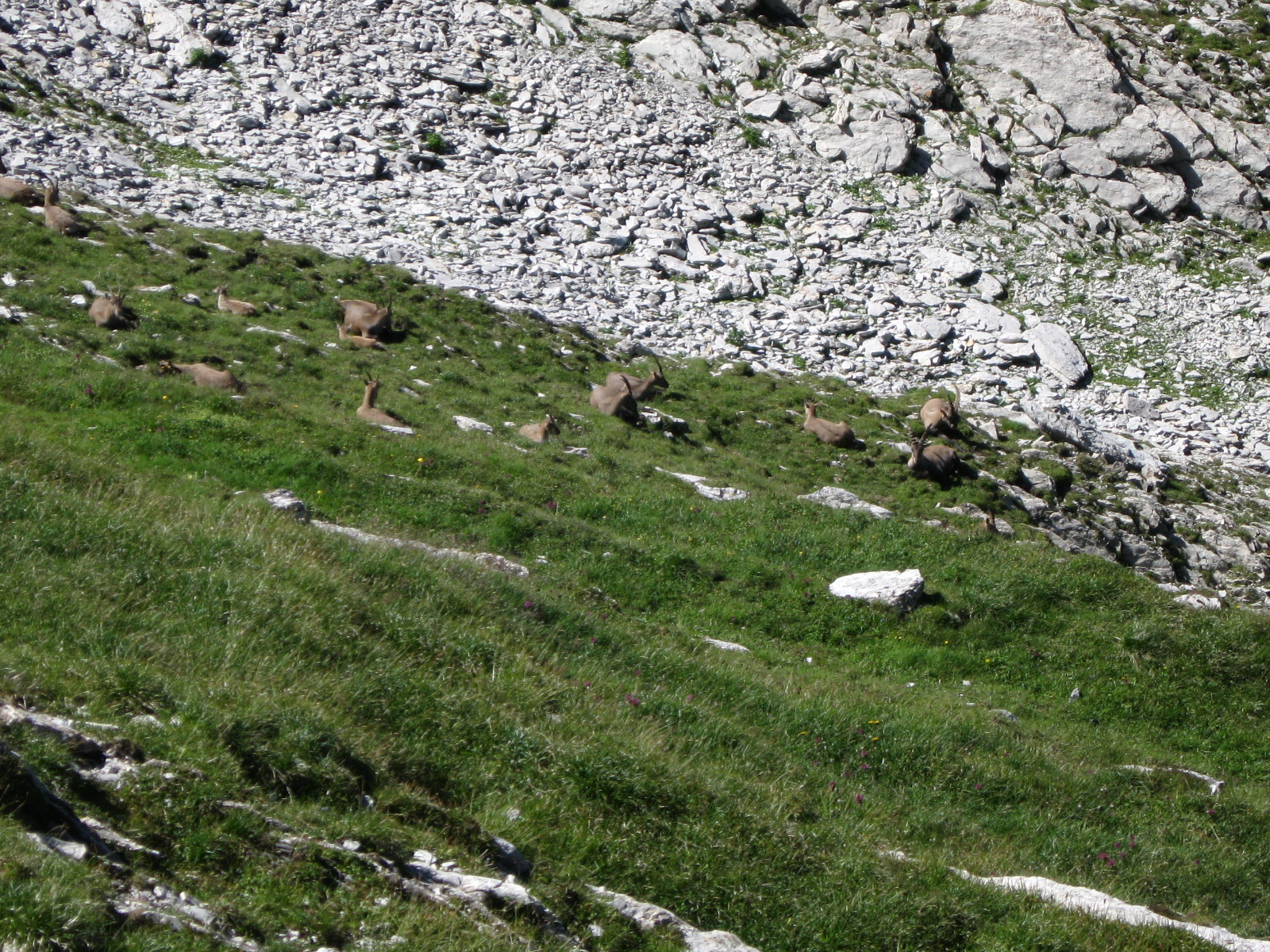 photo de Vanil de l'Ecri