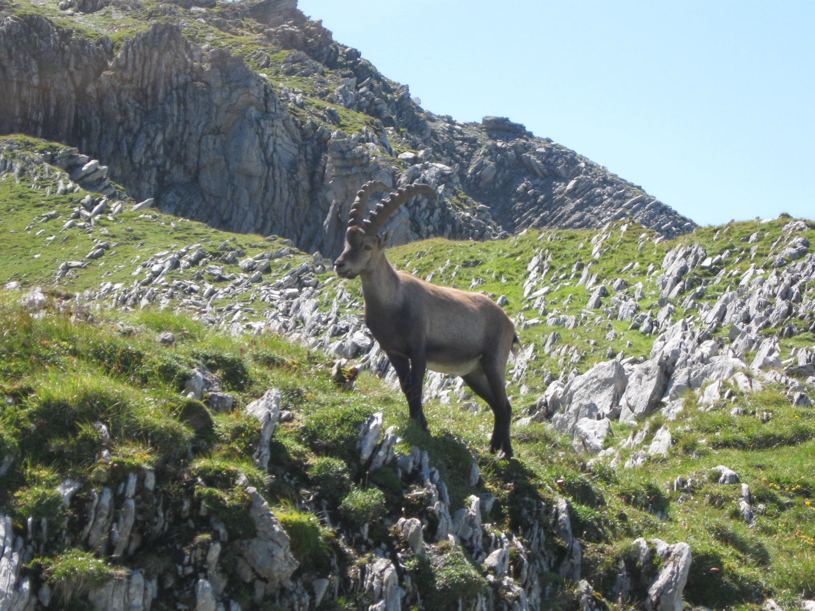 photo de Vanil de l'Ecri