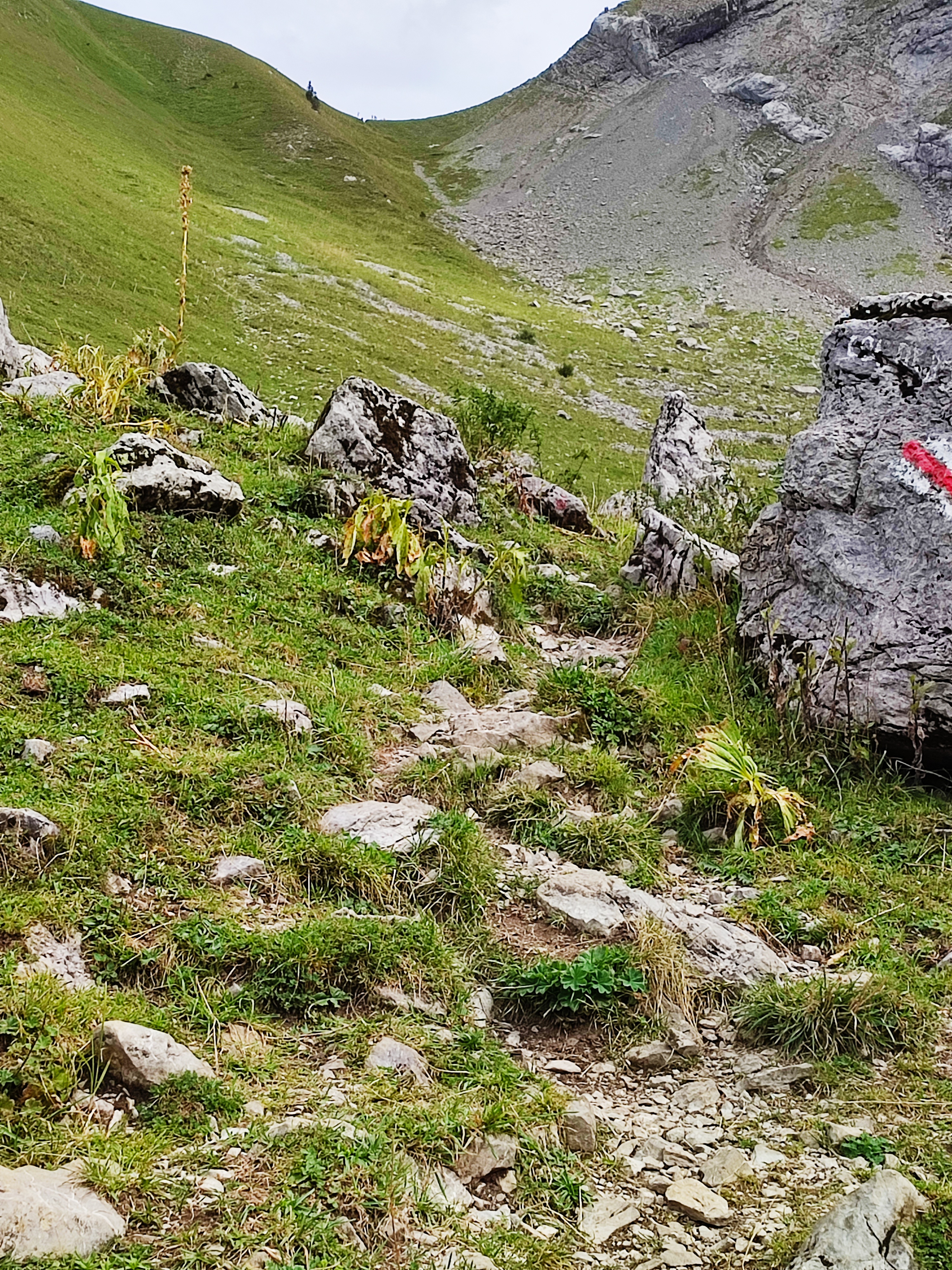 photo de Col de Bounavalette