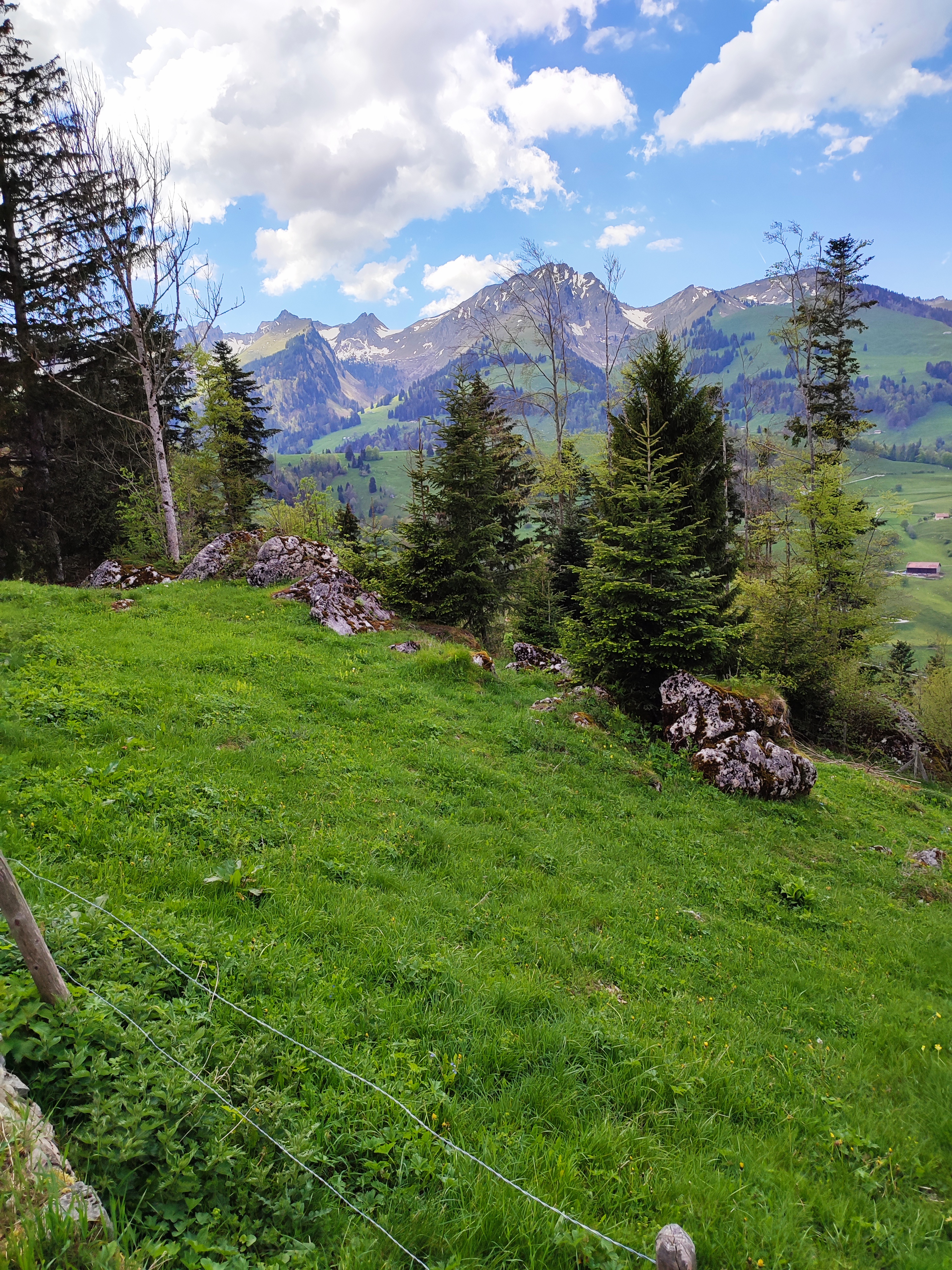 photo de Brâ (La)