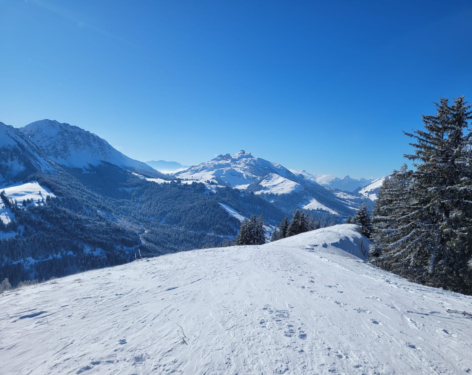 photo de Monts Chevreuils (Les)
