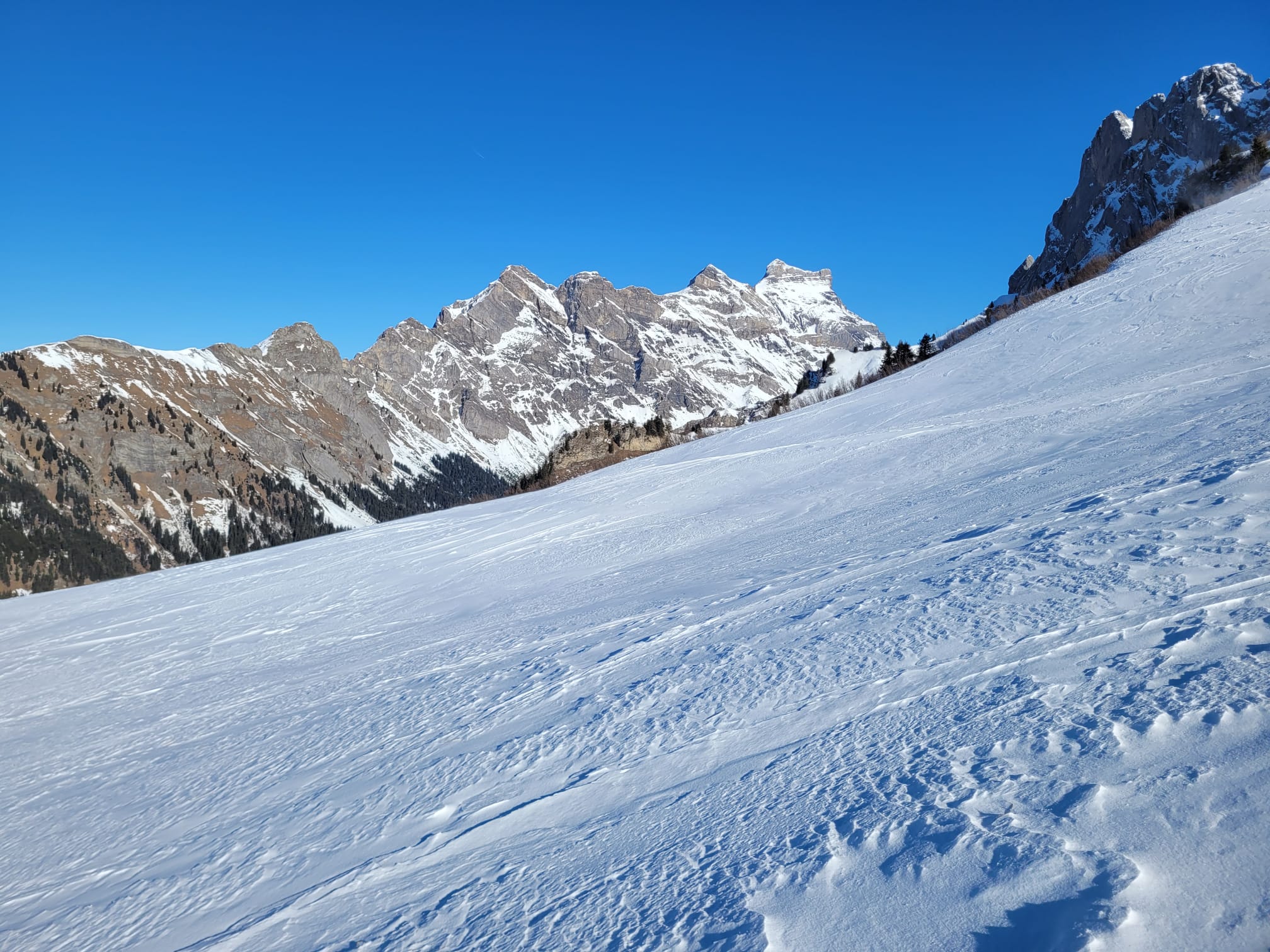 photo de Motte (La)