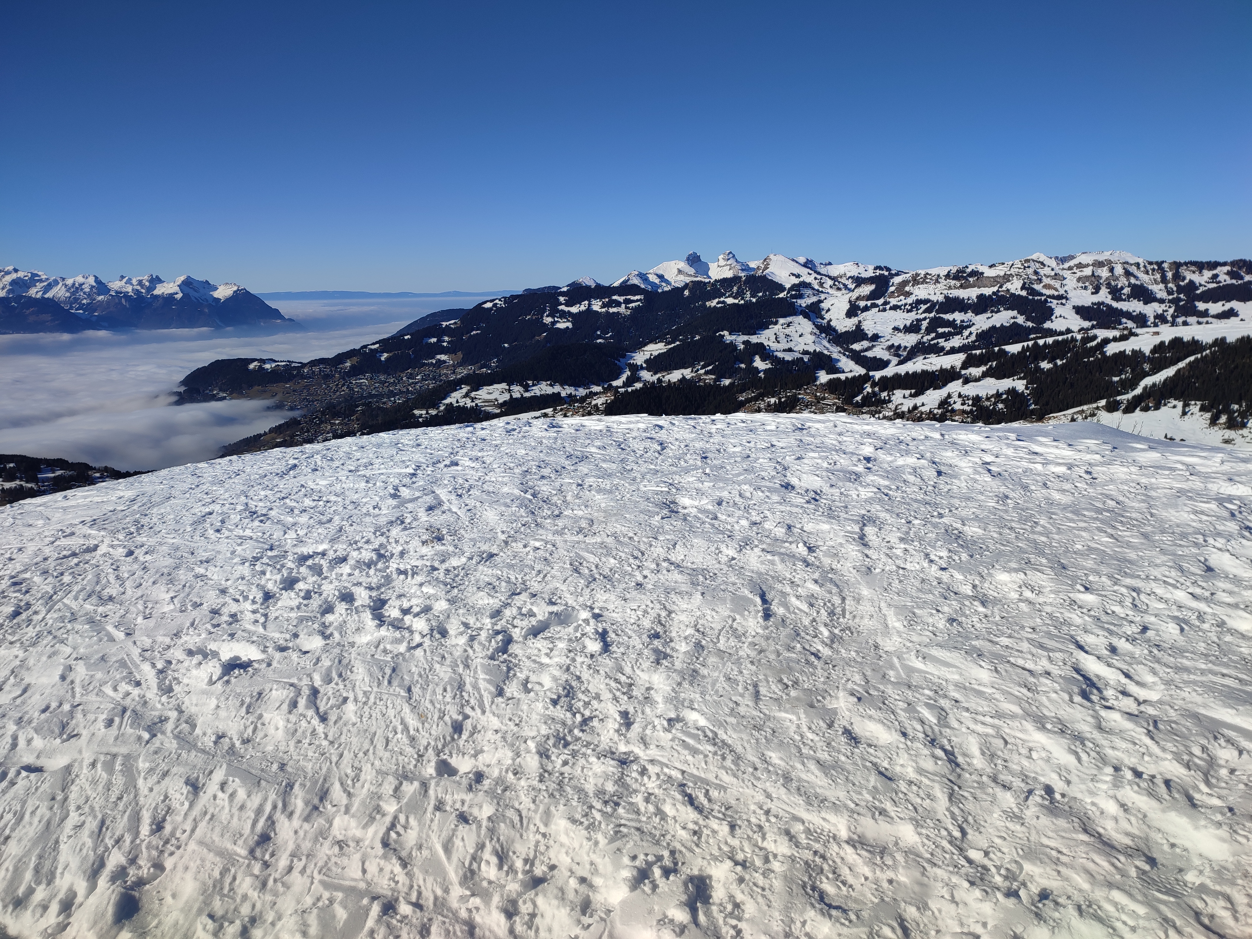 photo de Motte (La)