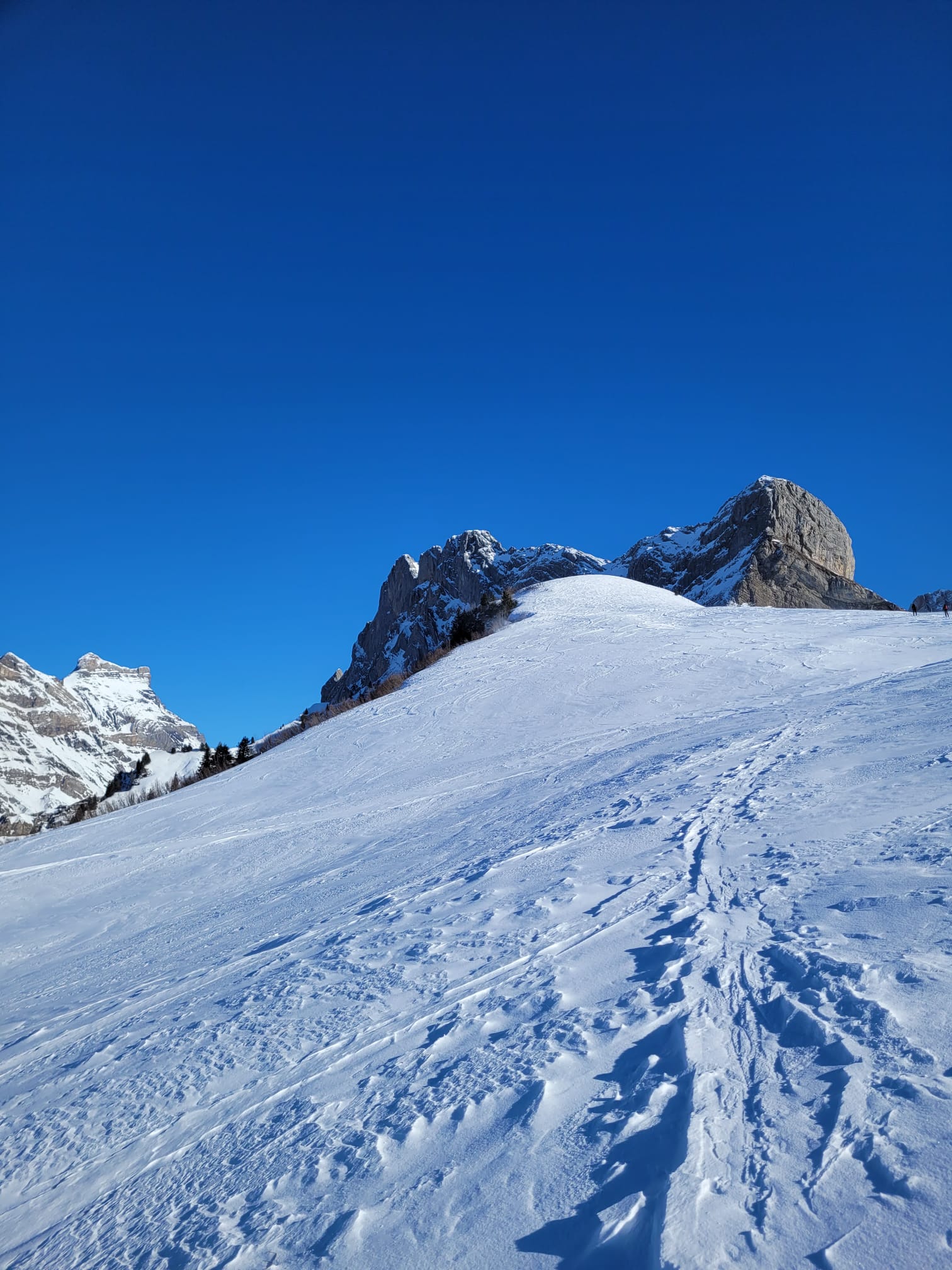 photo de Motte (La)