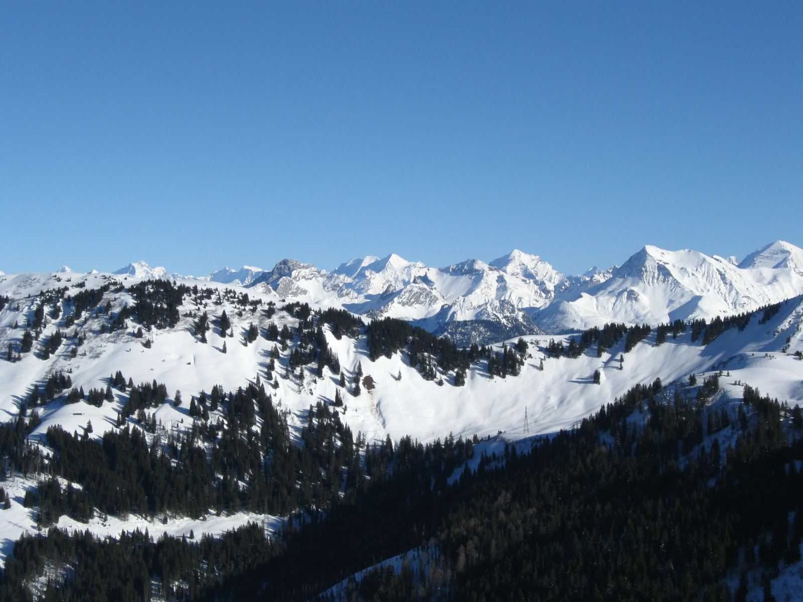Vue sur les Alpes bernoises