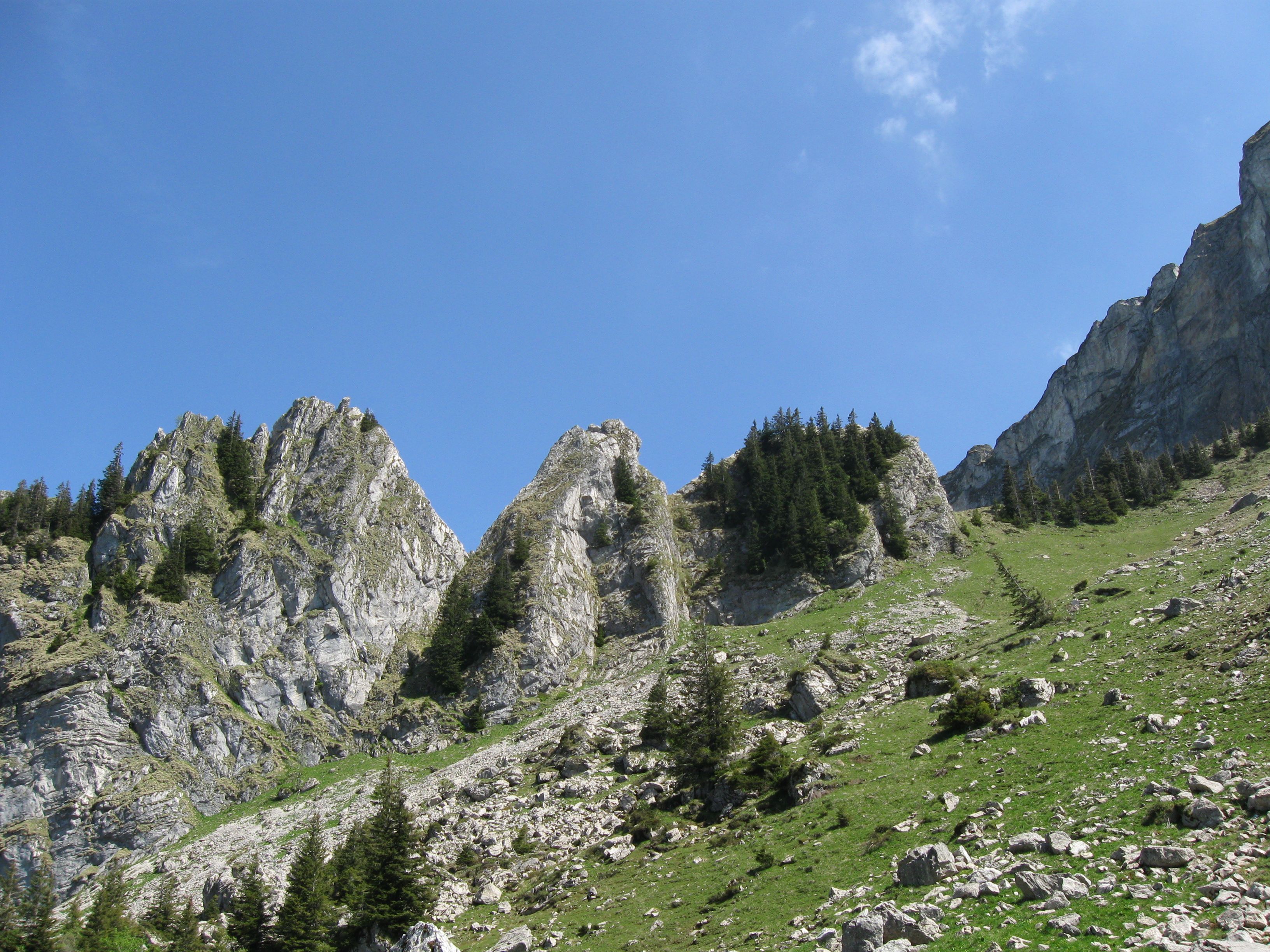 Les Gais Alpins