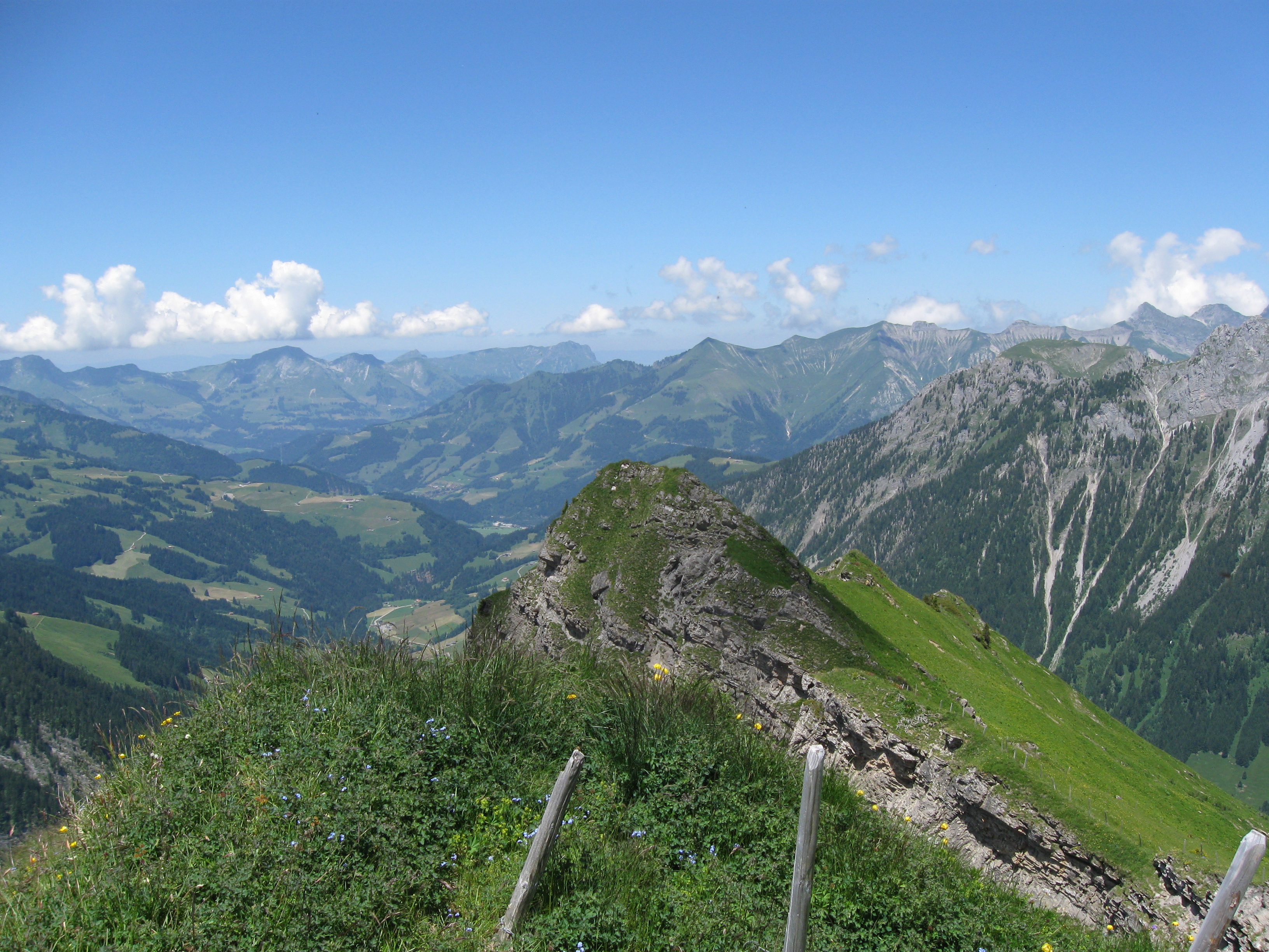 photo de Tête à Josué