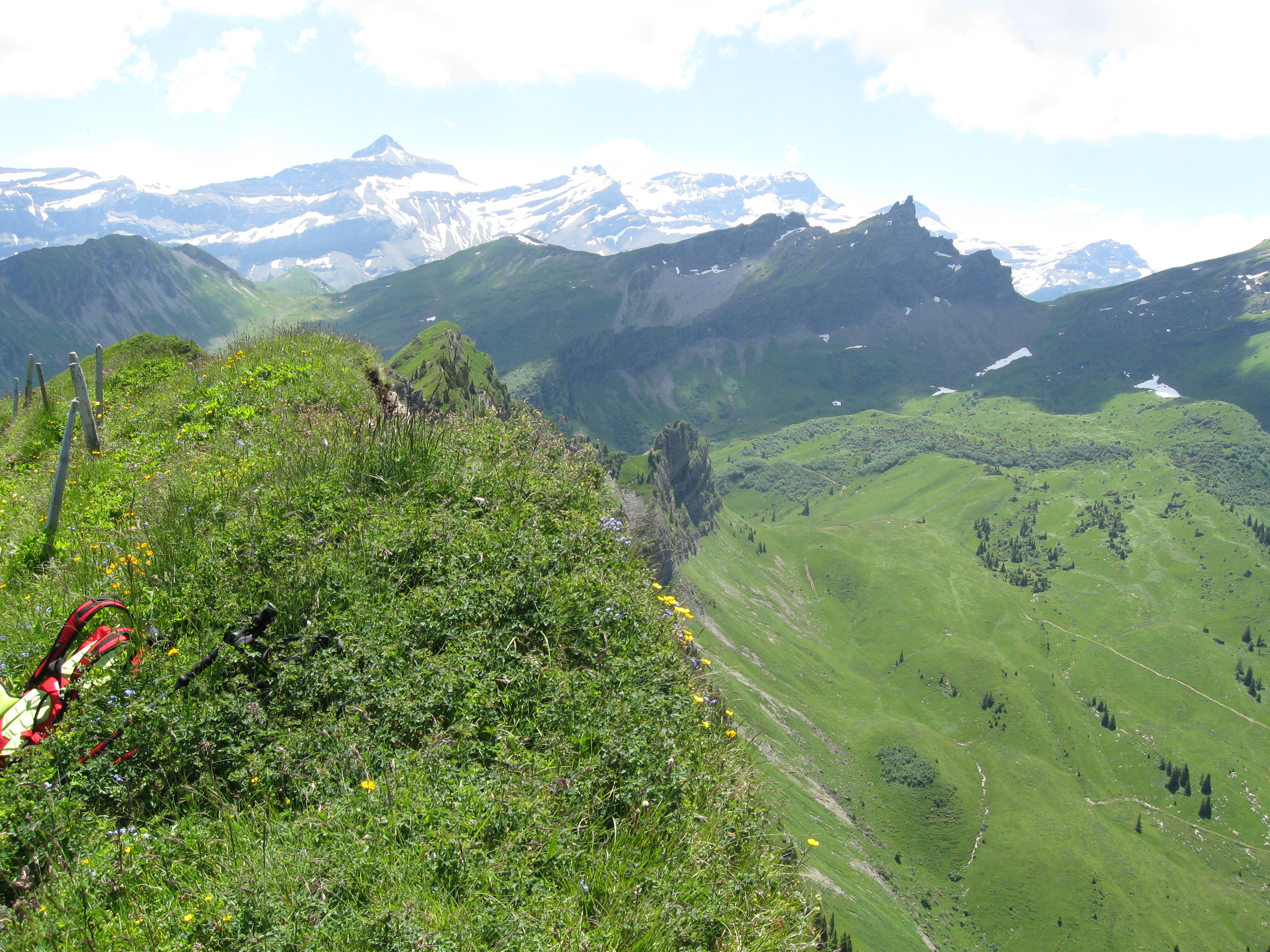 photo de Tête à Josué