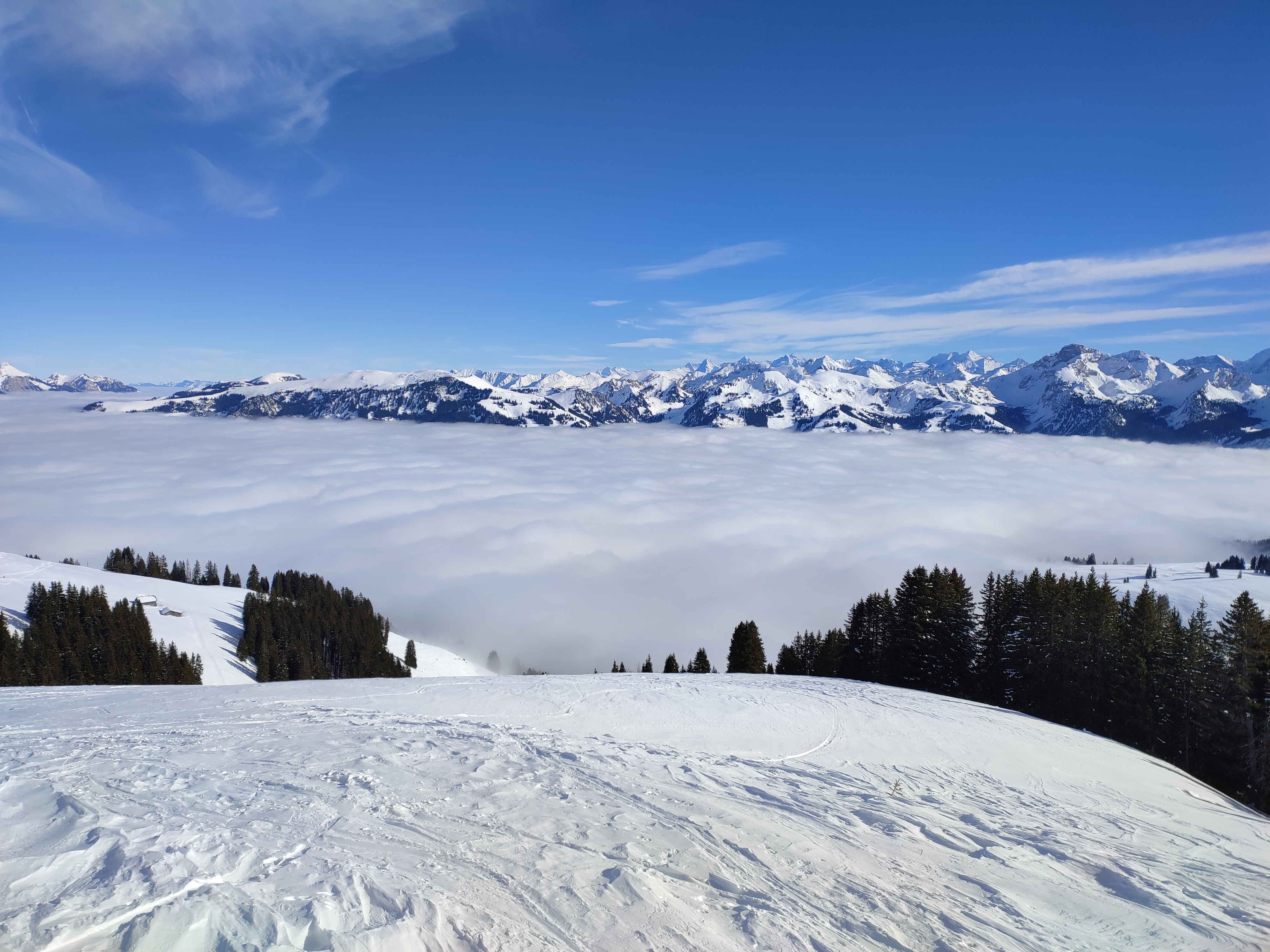 La mer de brouillard