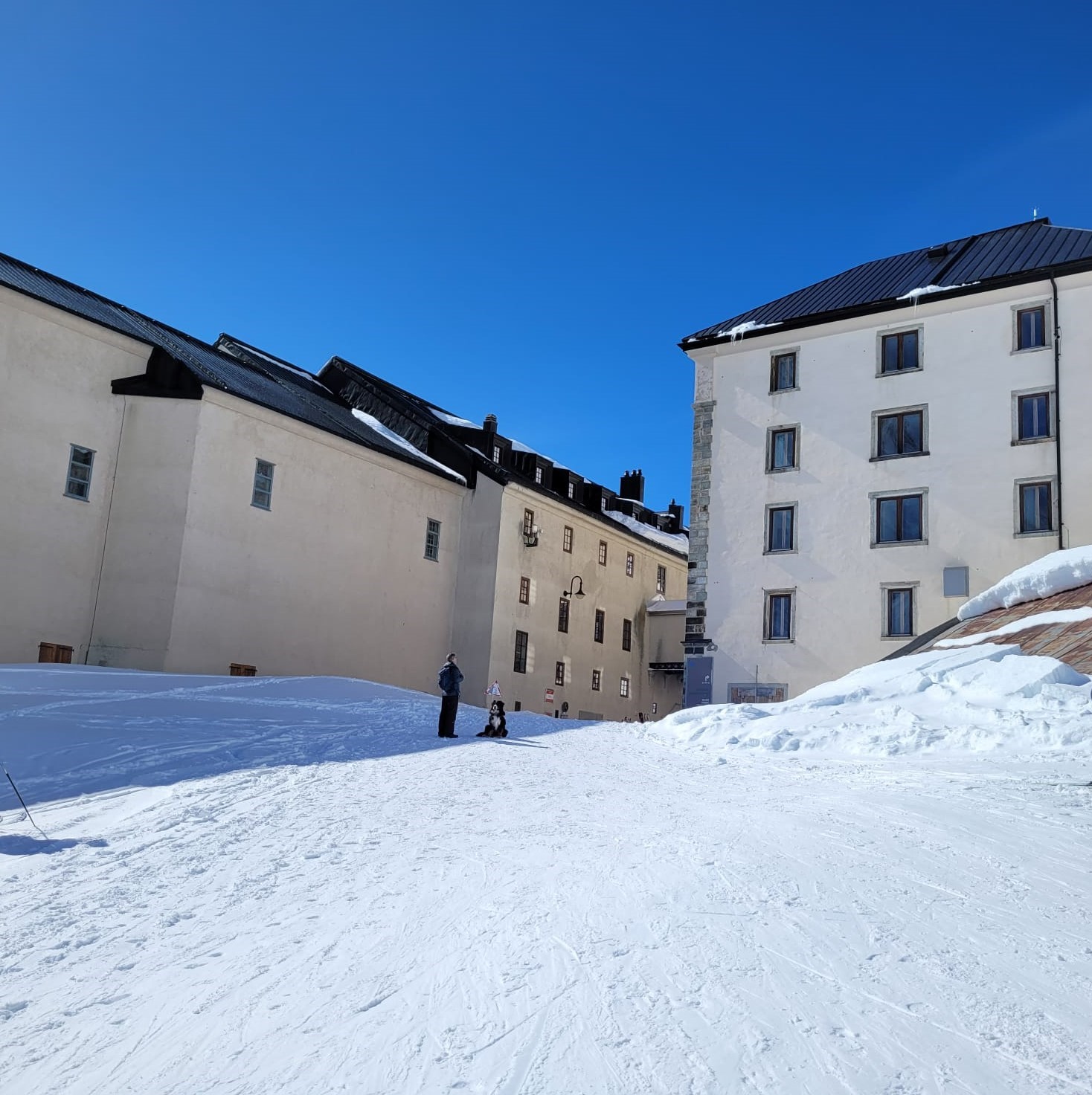 photo de Col du Grand-Saint-Bernard (et Hospice)
