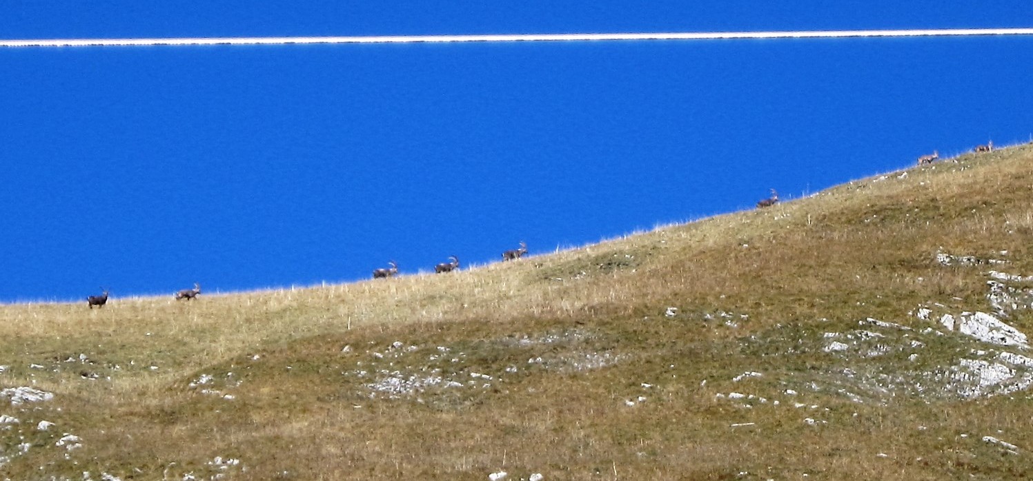 photo de Col de Lys