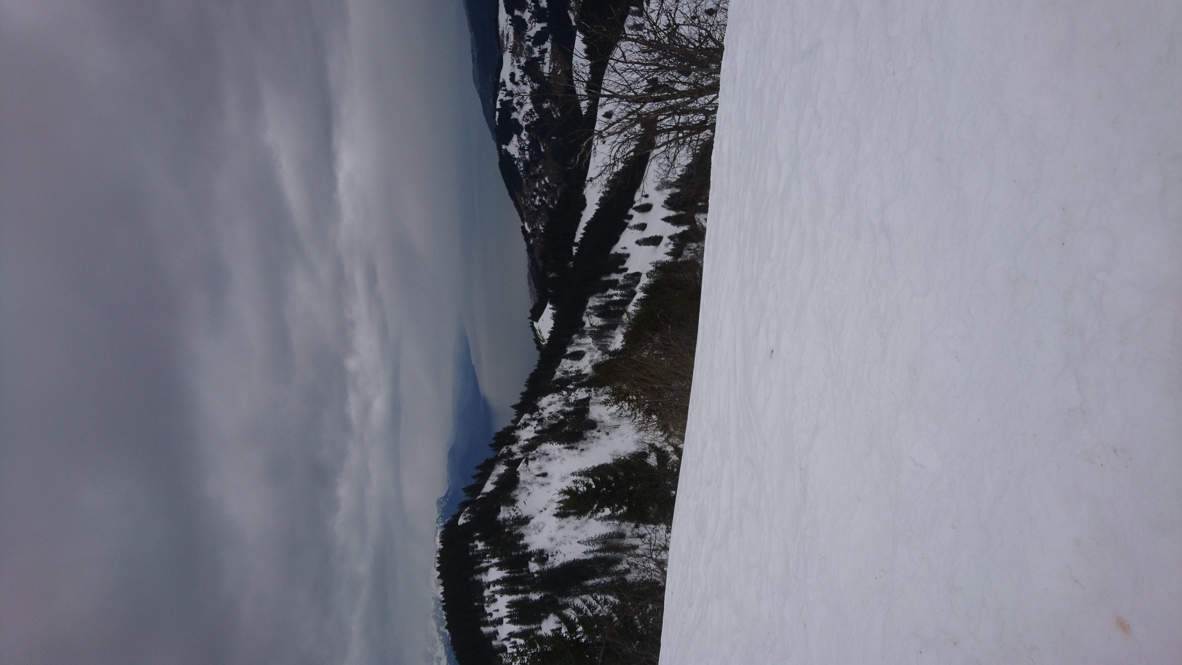 photo de Molard (Le)