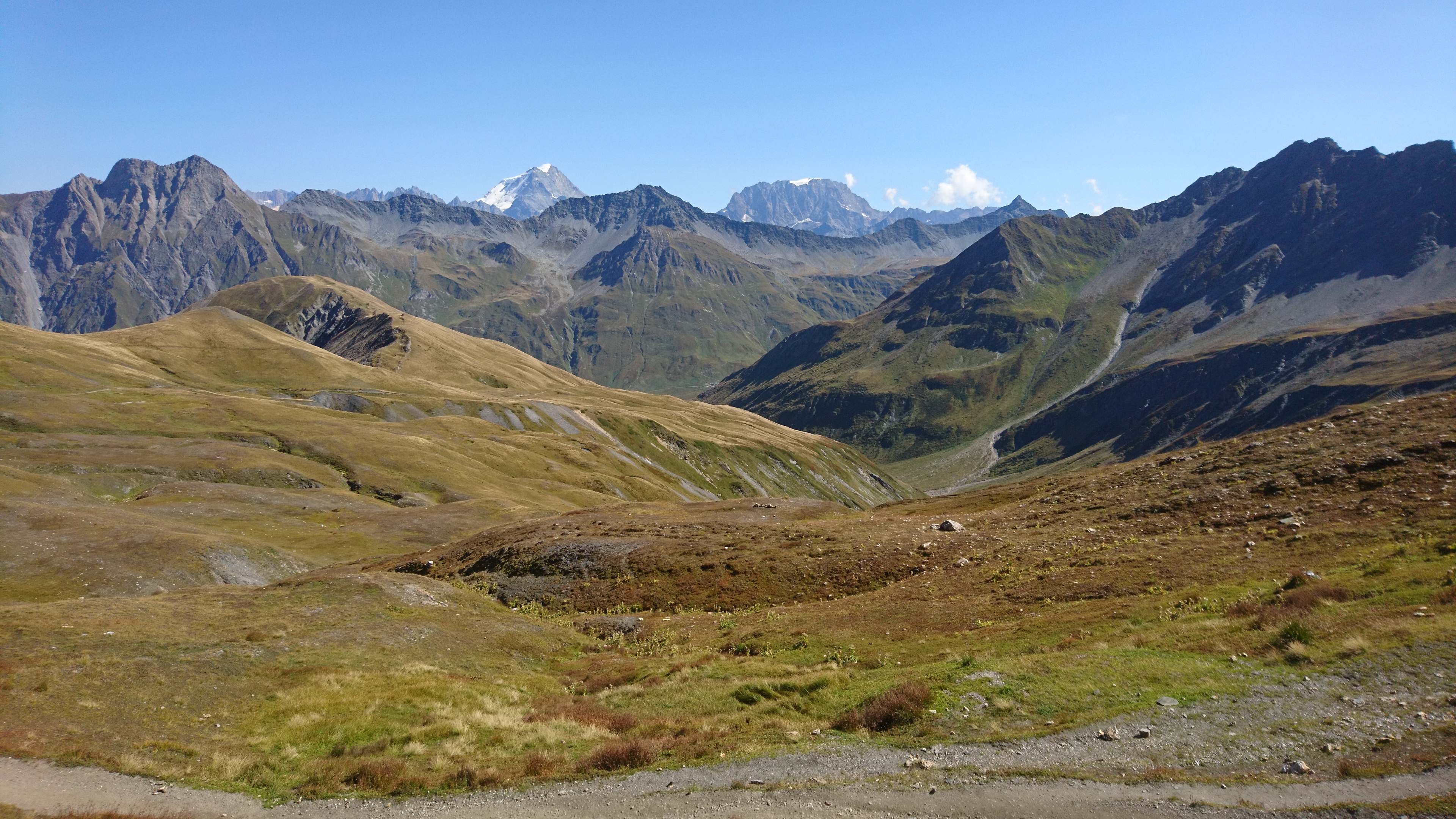 photo de Tête de Ferret