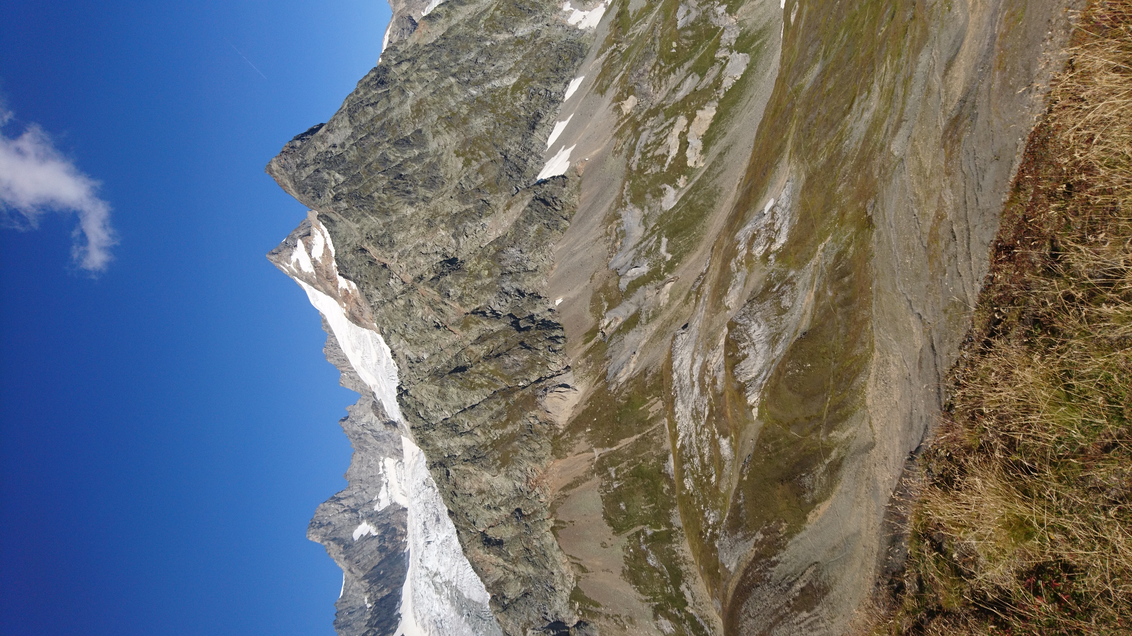 photo de Tête de Ferret