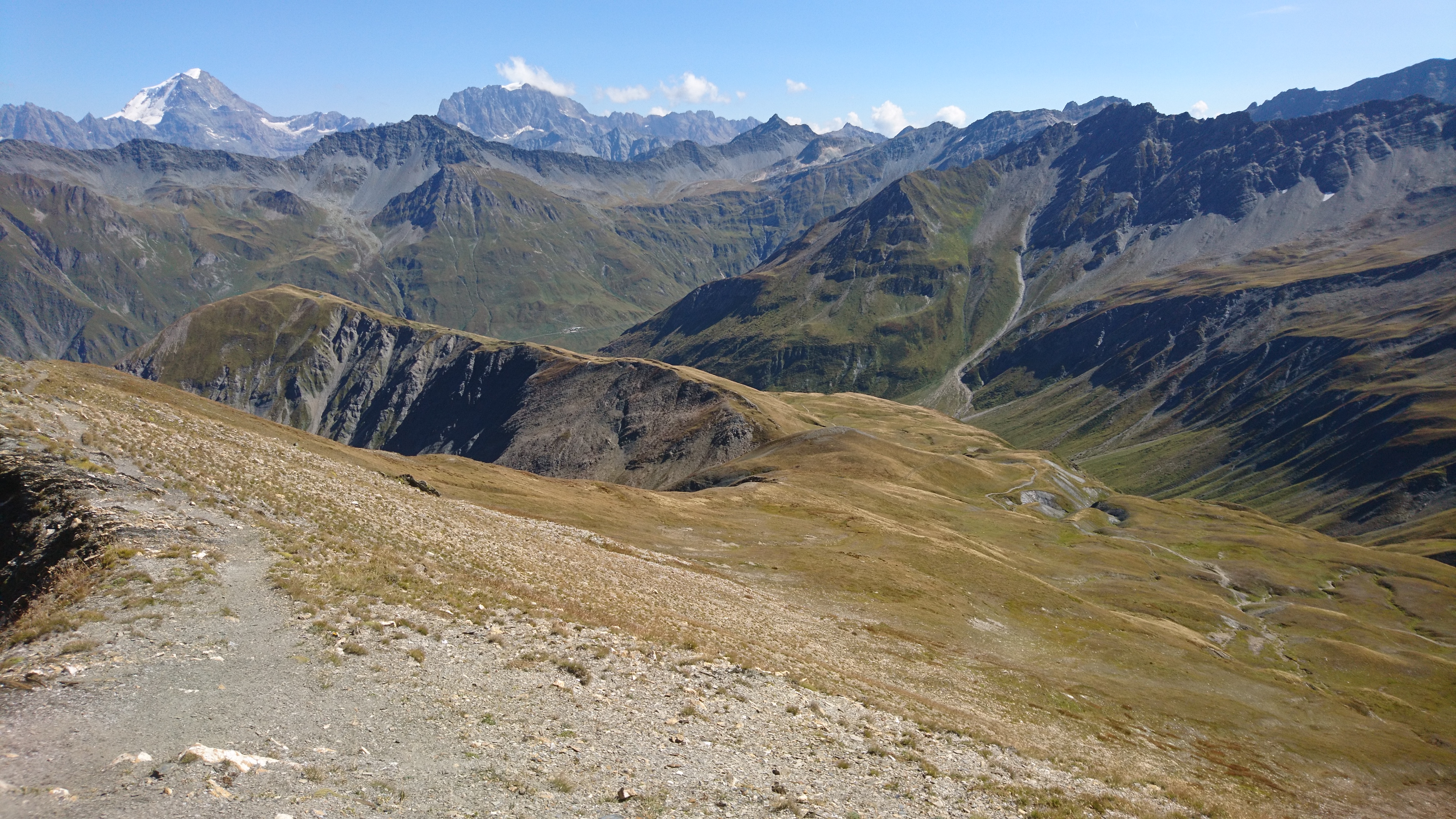 photo de Tête de Ferret