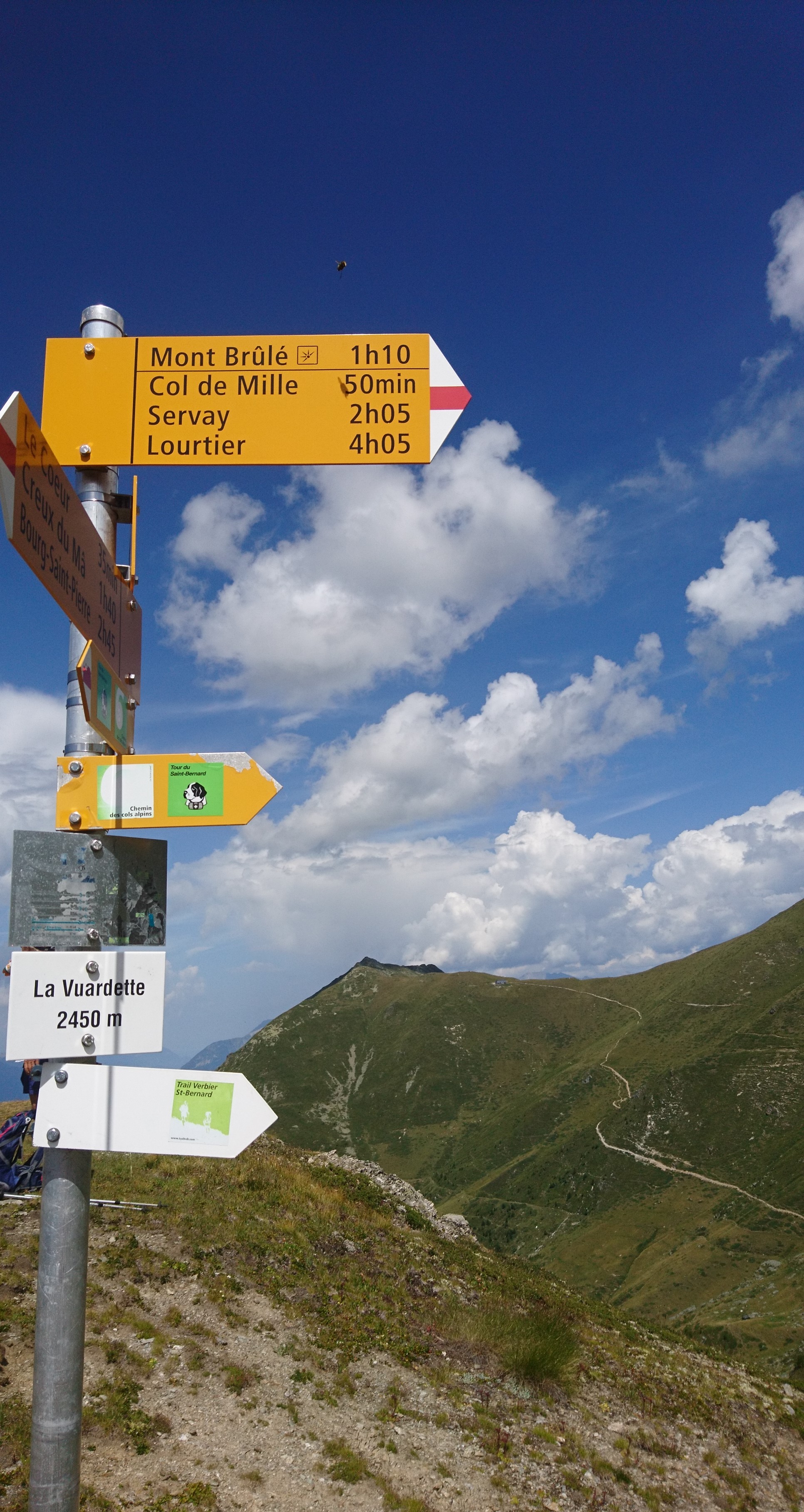 photo de Mont Brûlé
