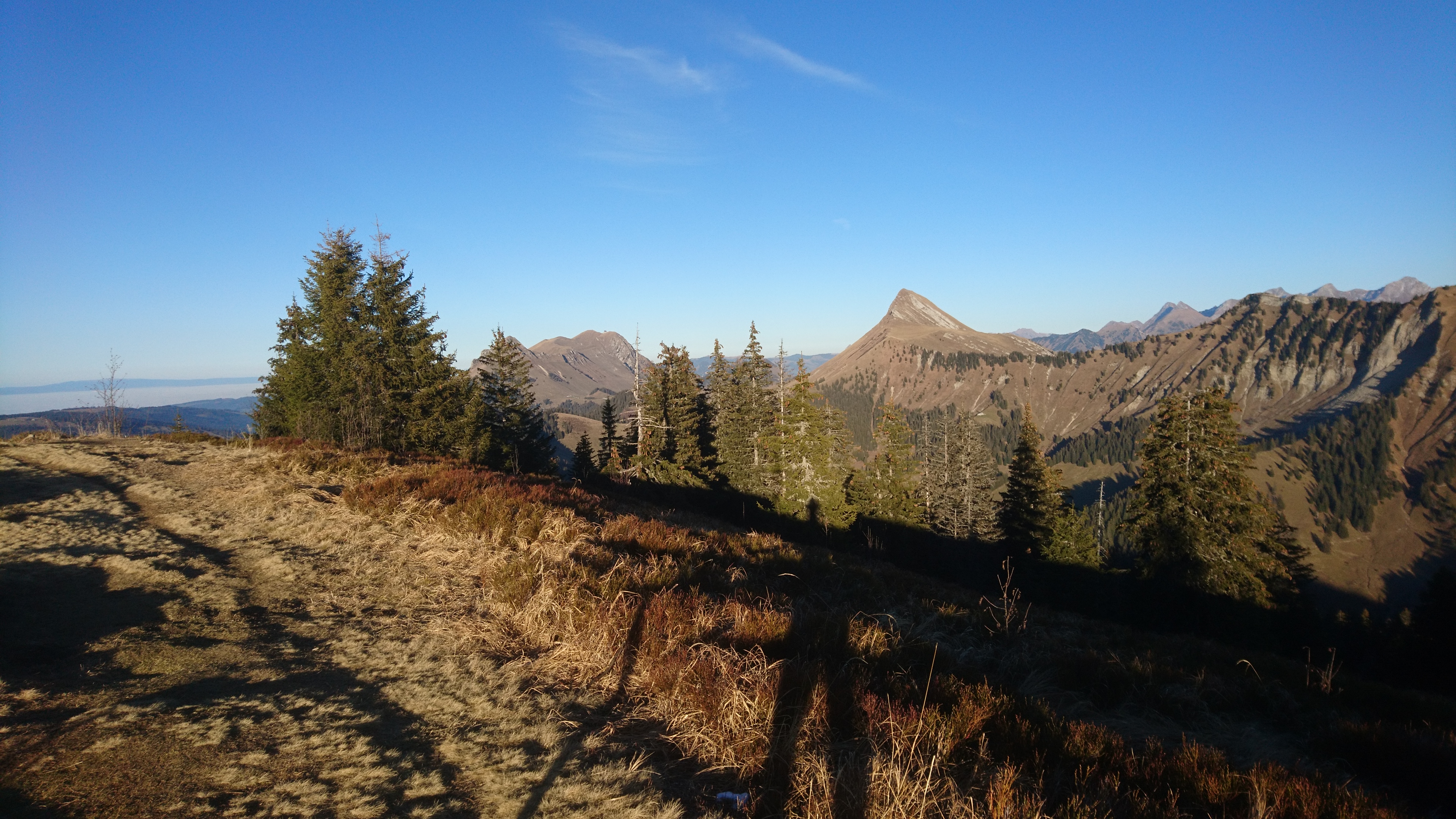 photo de Molard (Le)