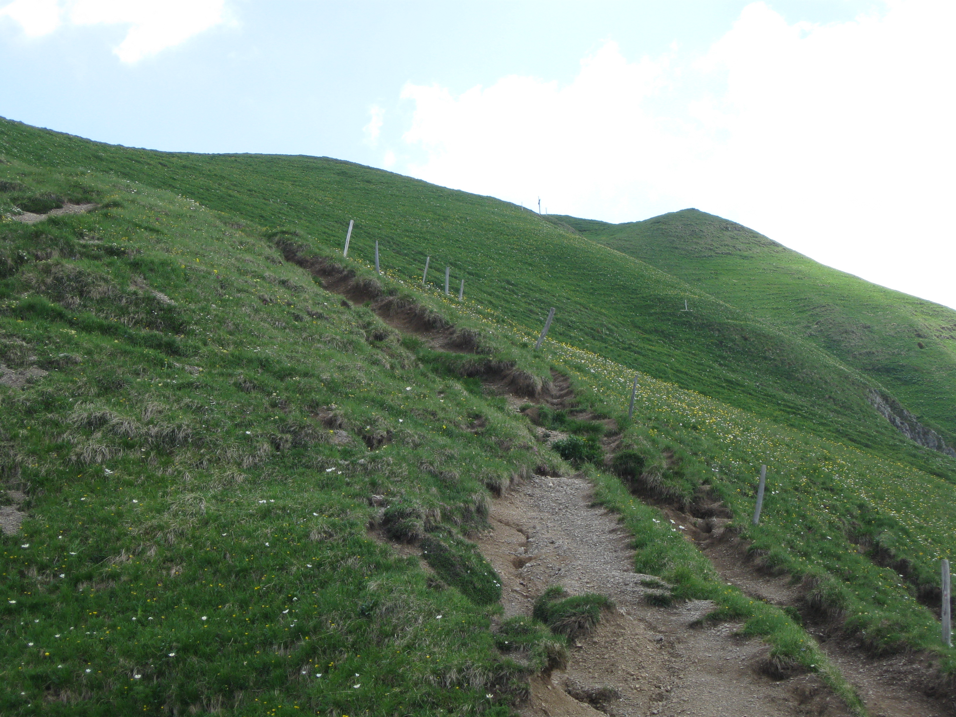 photo de Grammont (Le)
