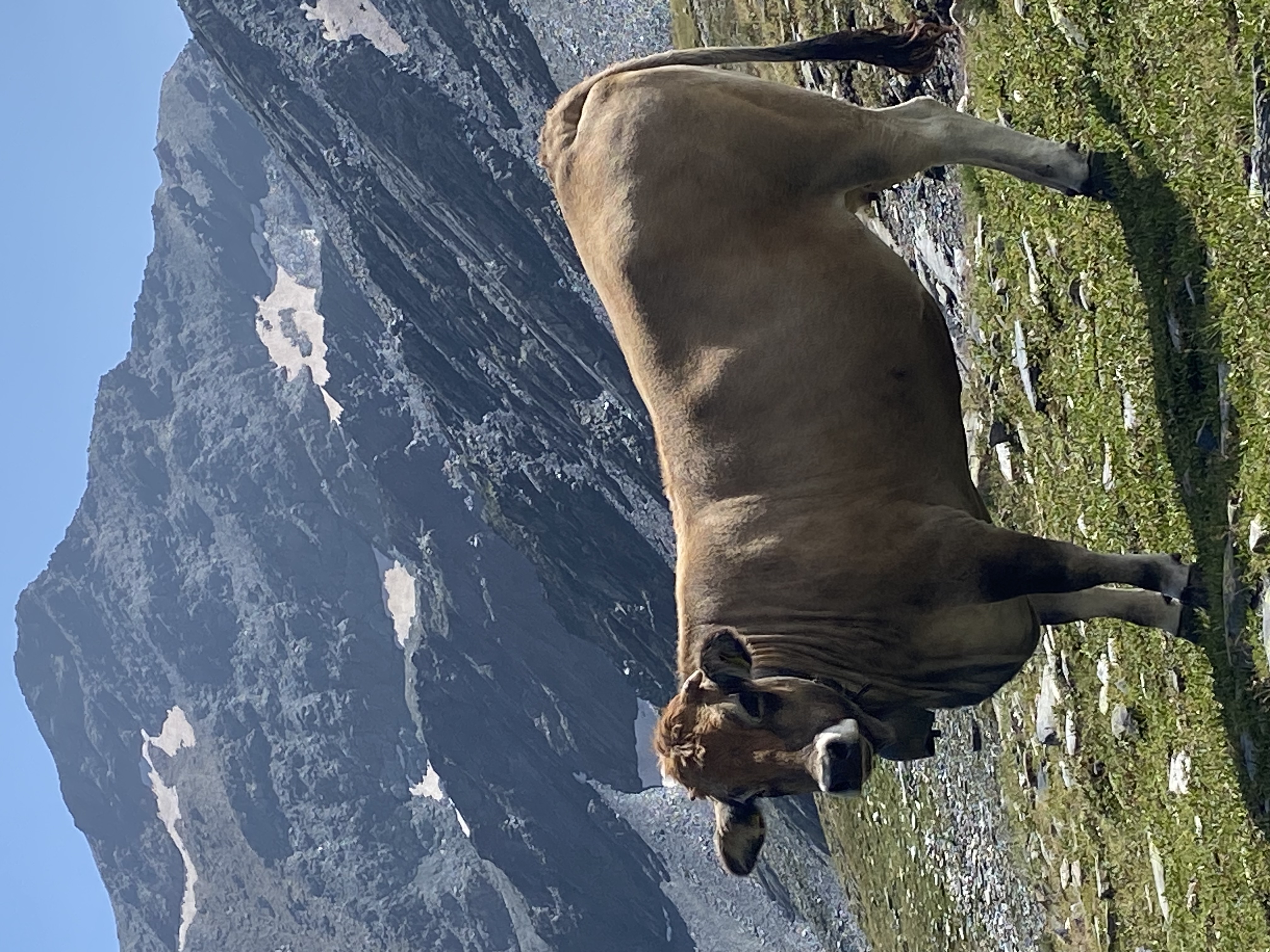 photo de Col du Bastillon