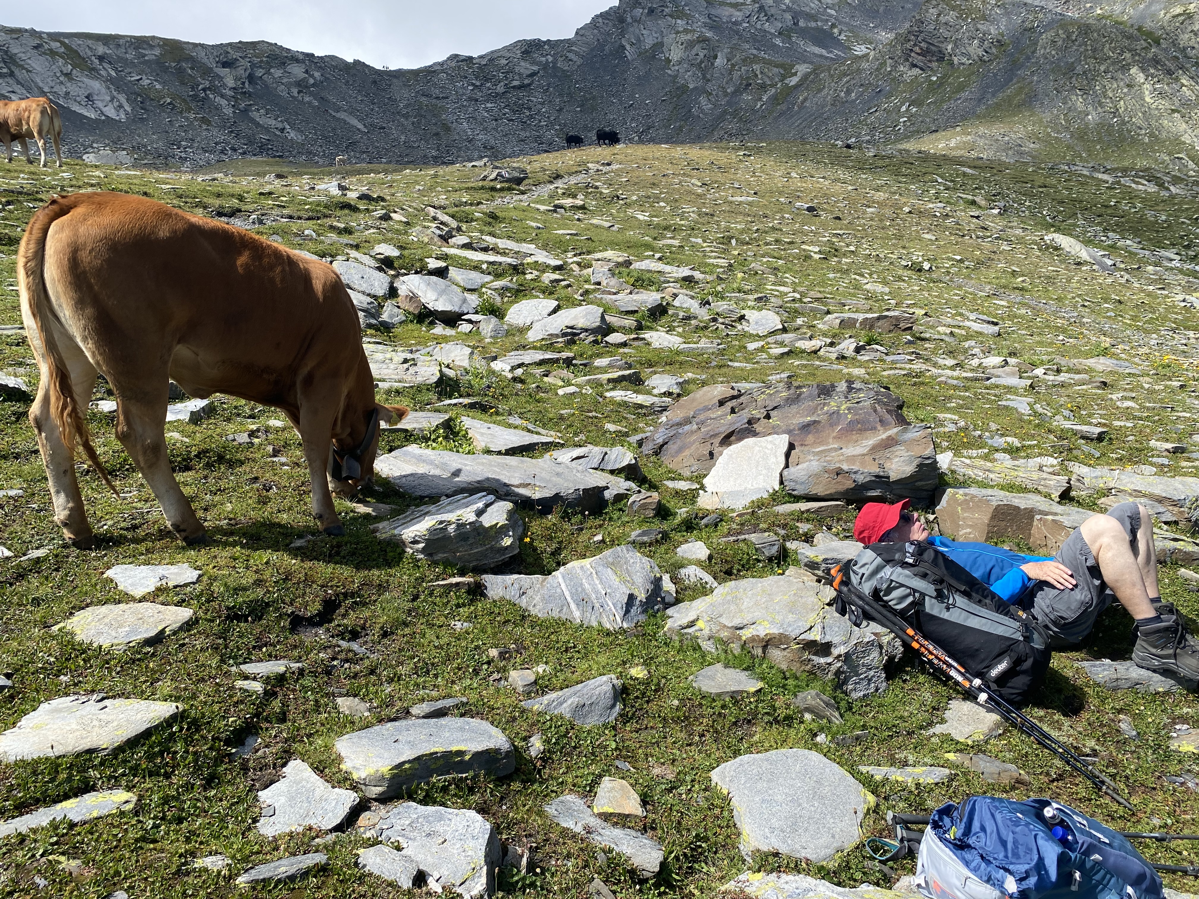 photo de Col du Bastillon