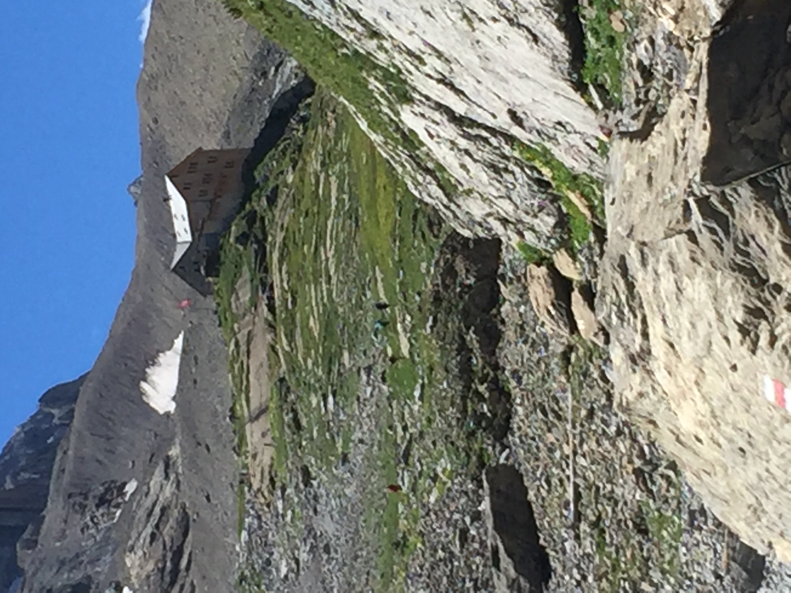 photo de Cabane du Wildhorn (Wildhornhütte)