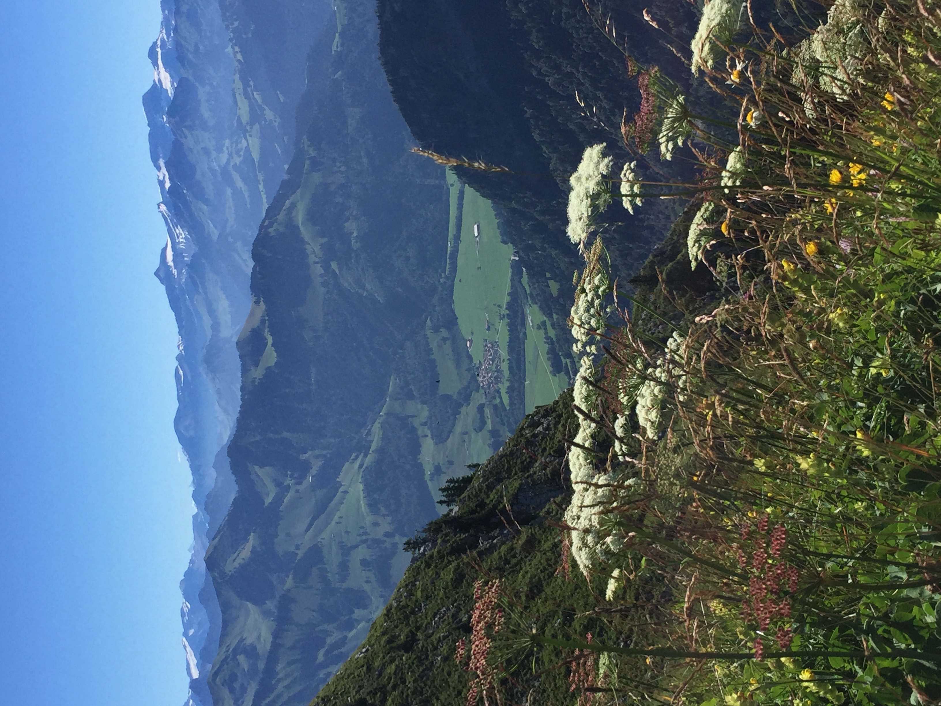 photo de Moléson (Le)