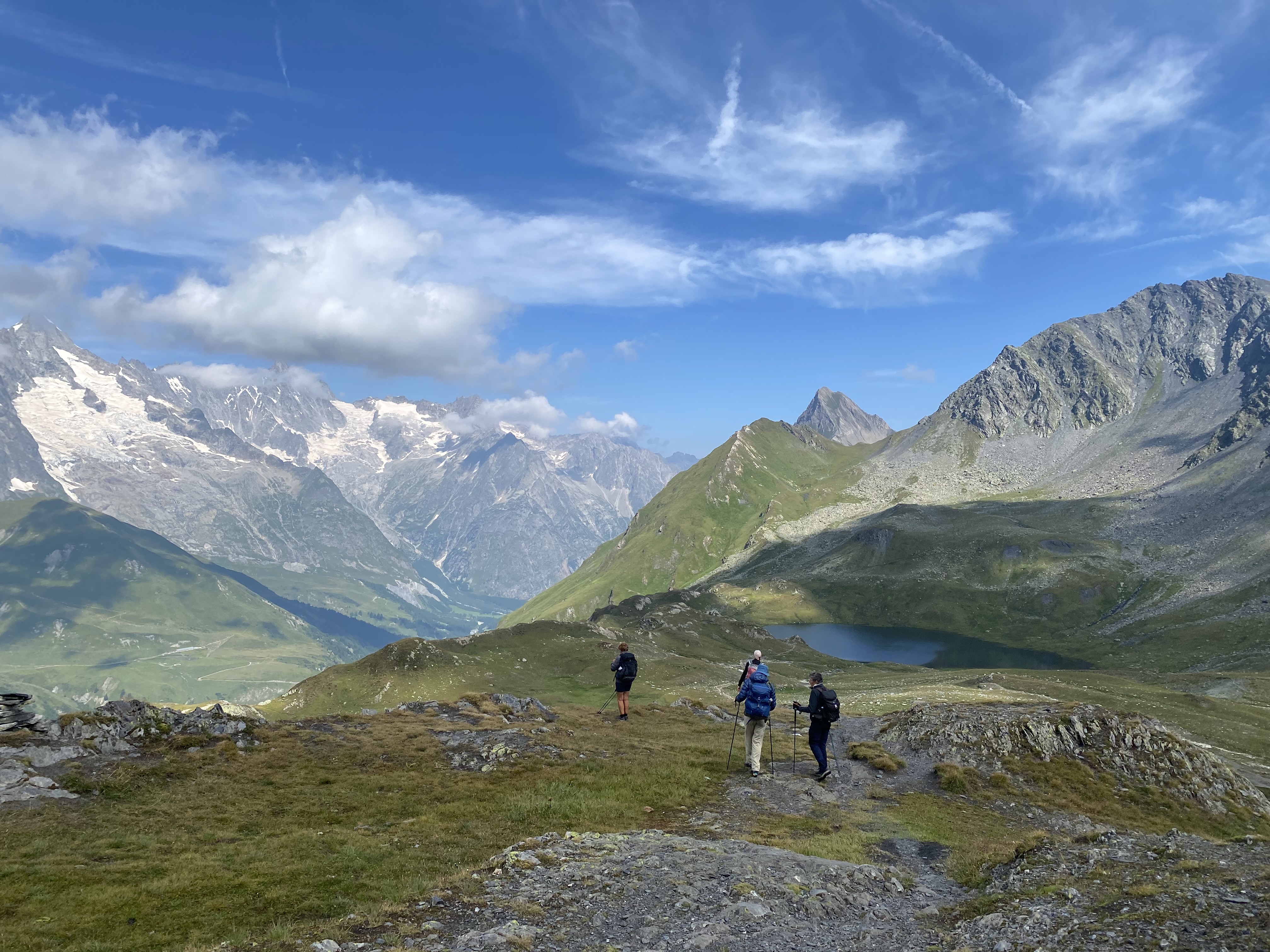 photo de Fenêtre de Ferret