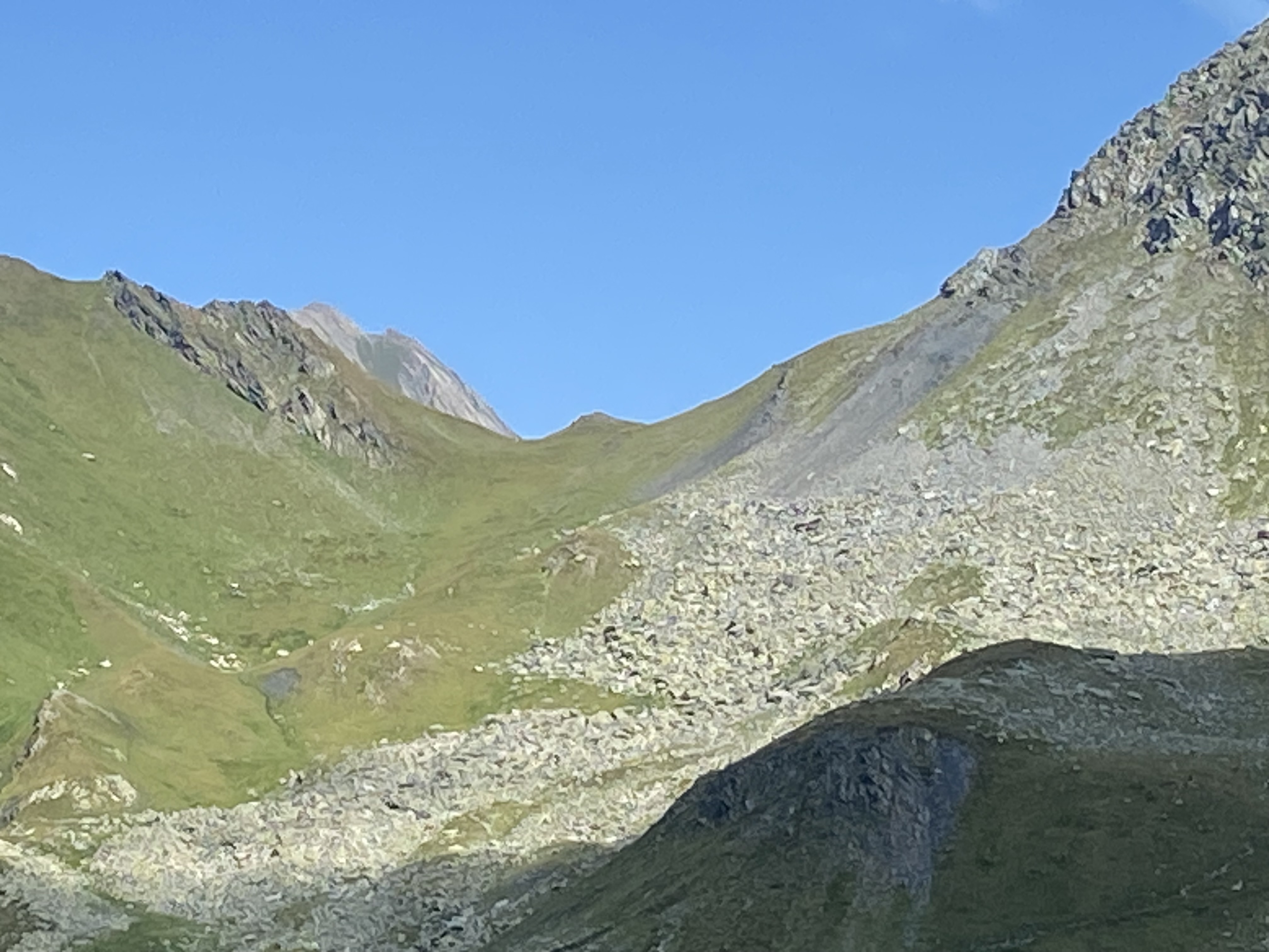 photo de Fenêtre de Ferret