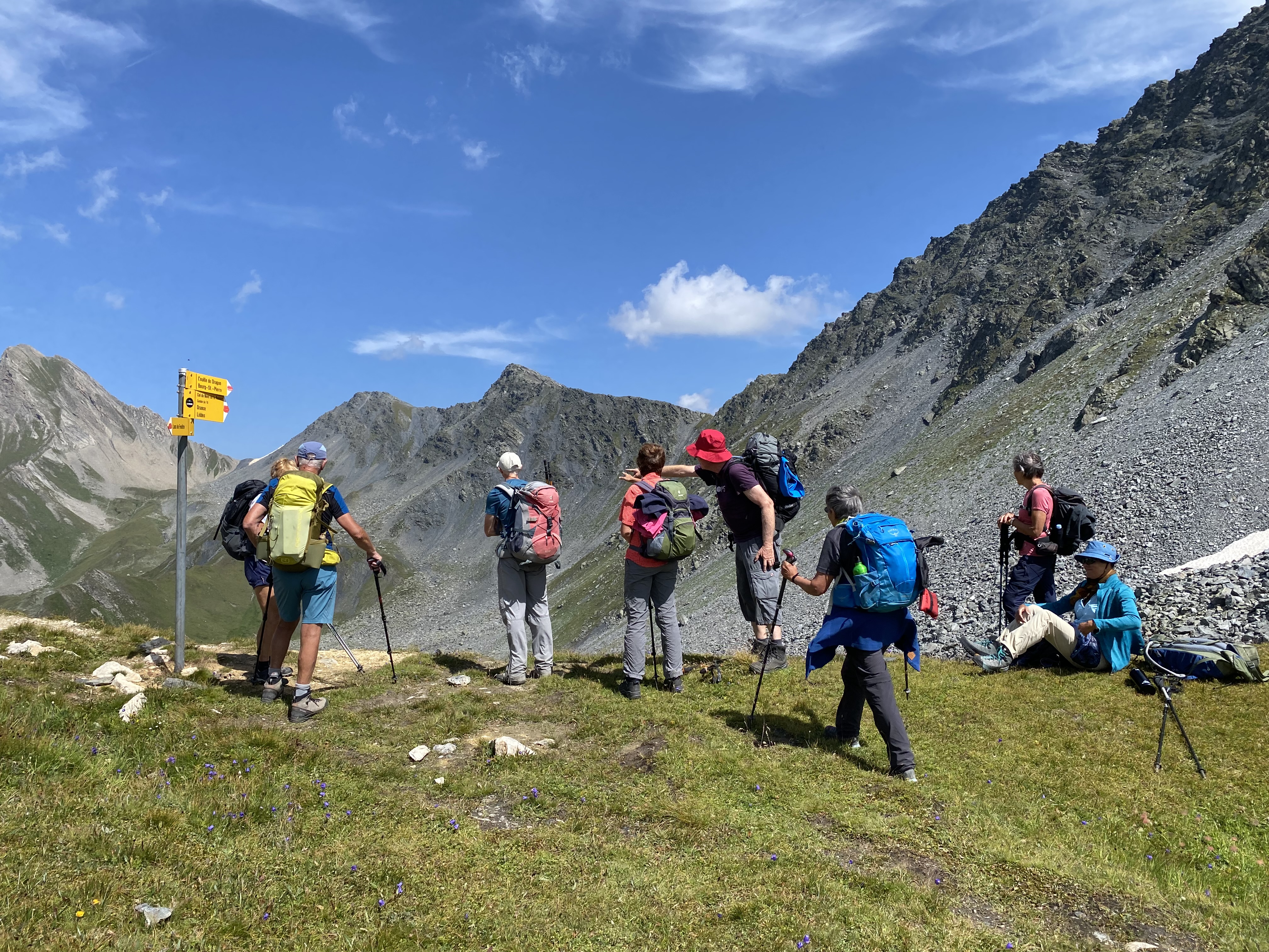 photo de Fenêtre de Ferret