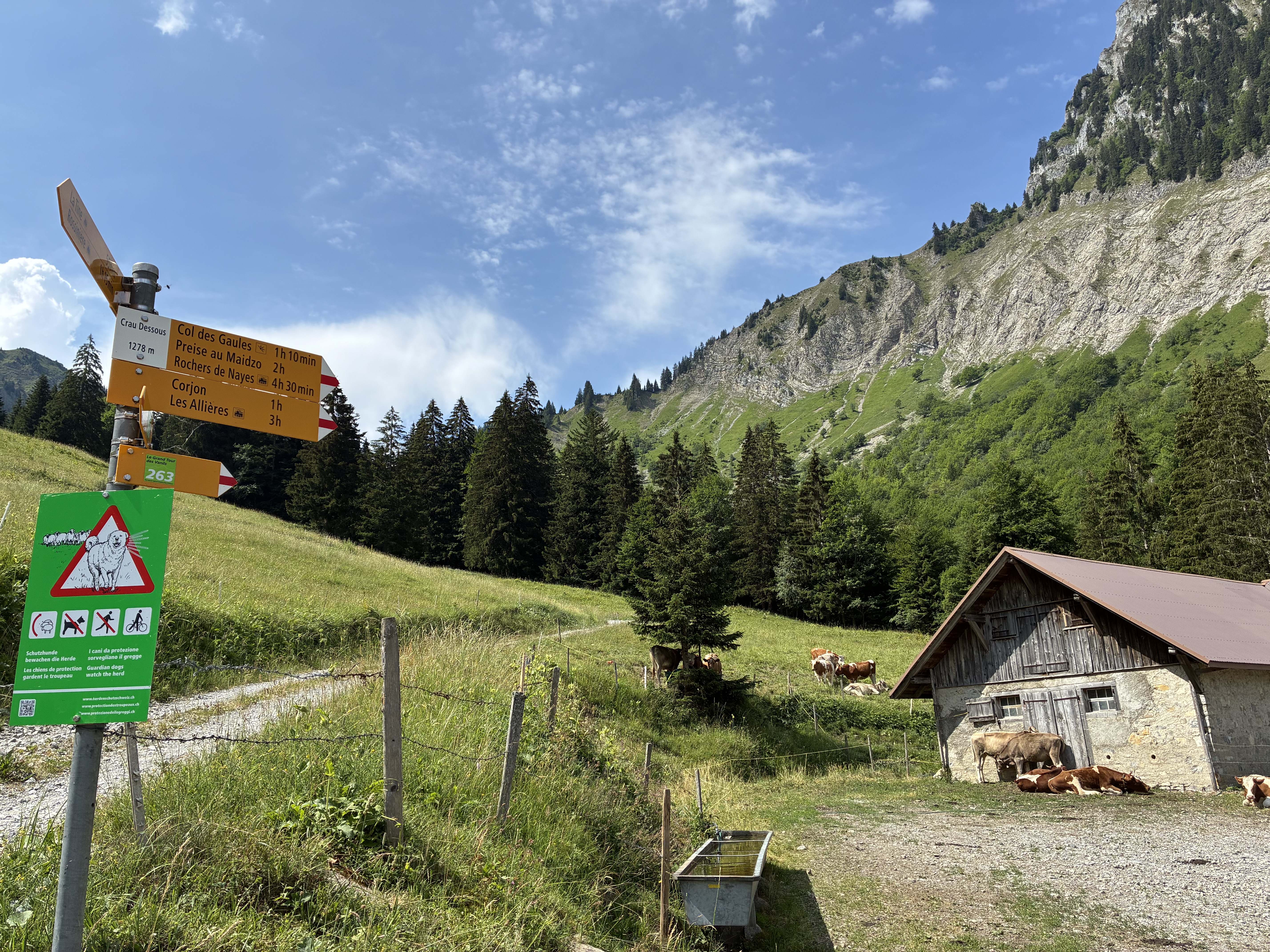 photo de Corjon