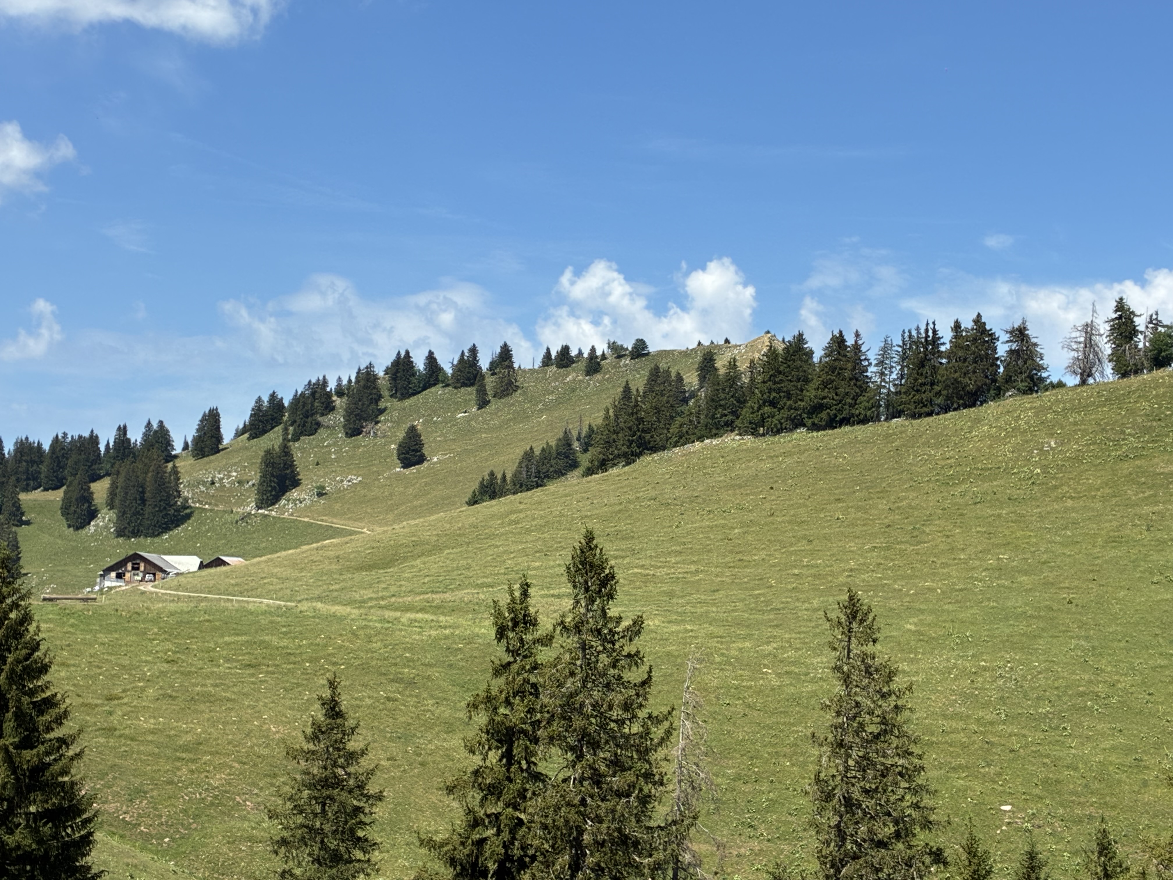 photo de Corjon