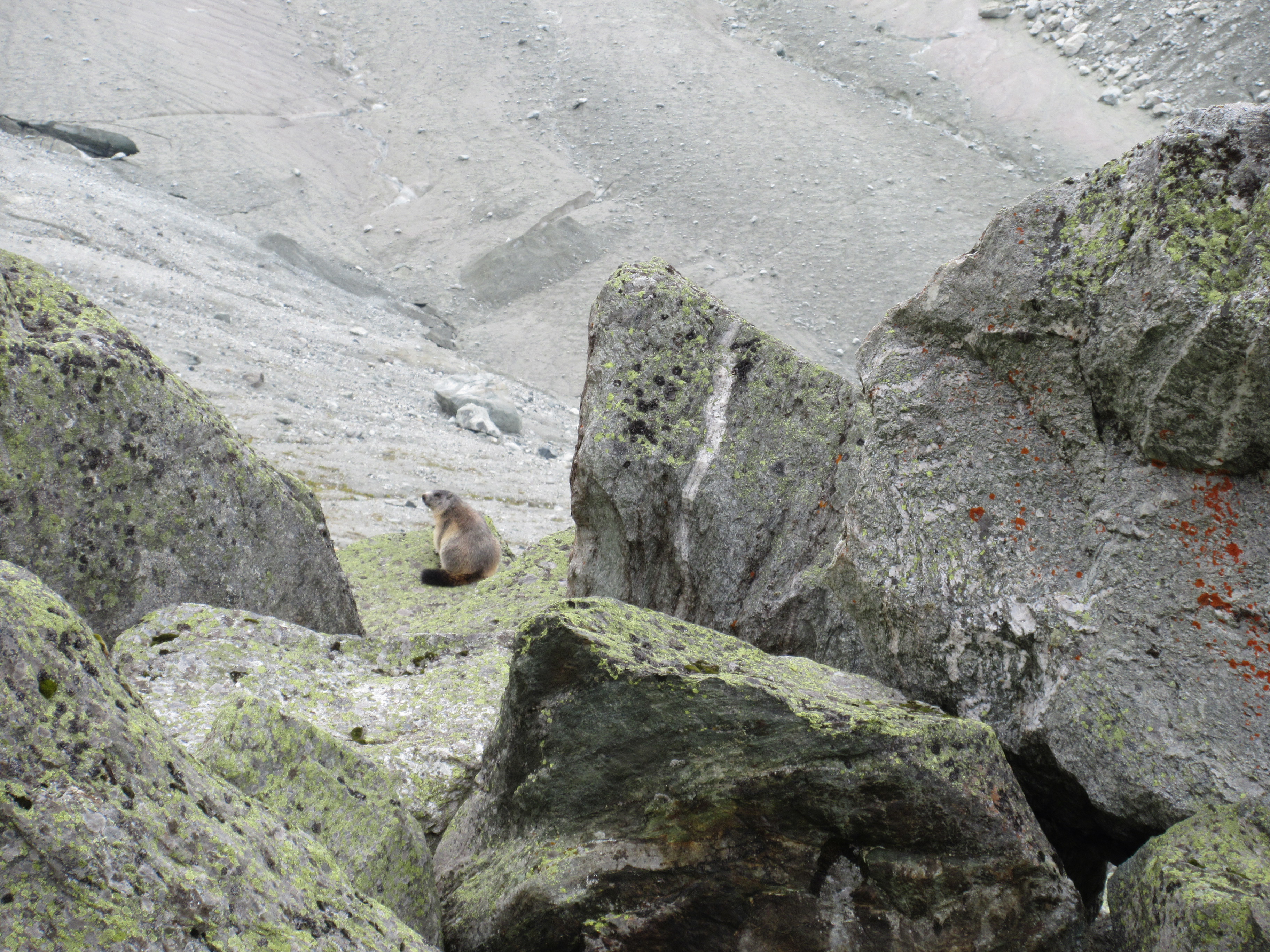 photo de Cabane de Moiry