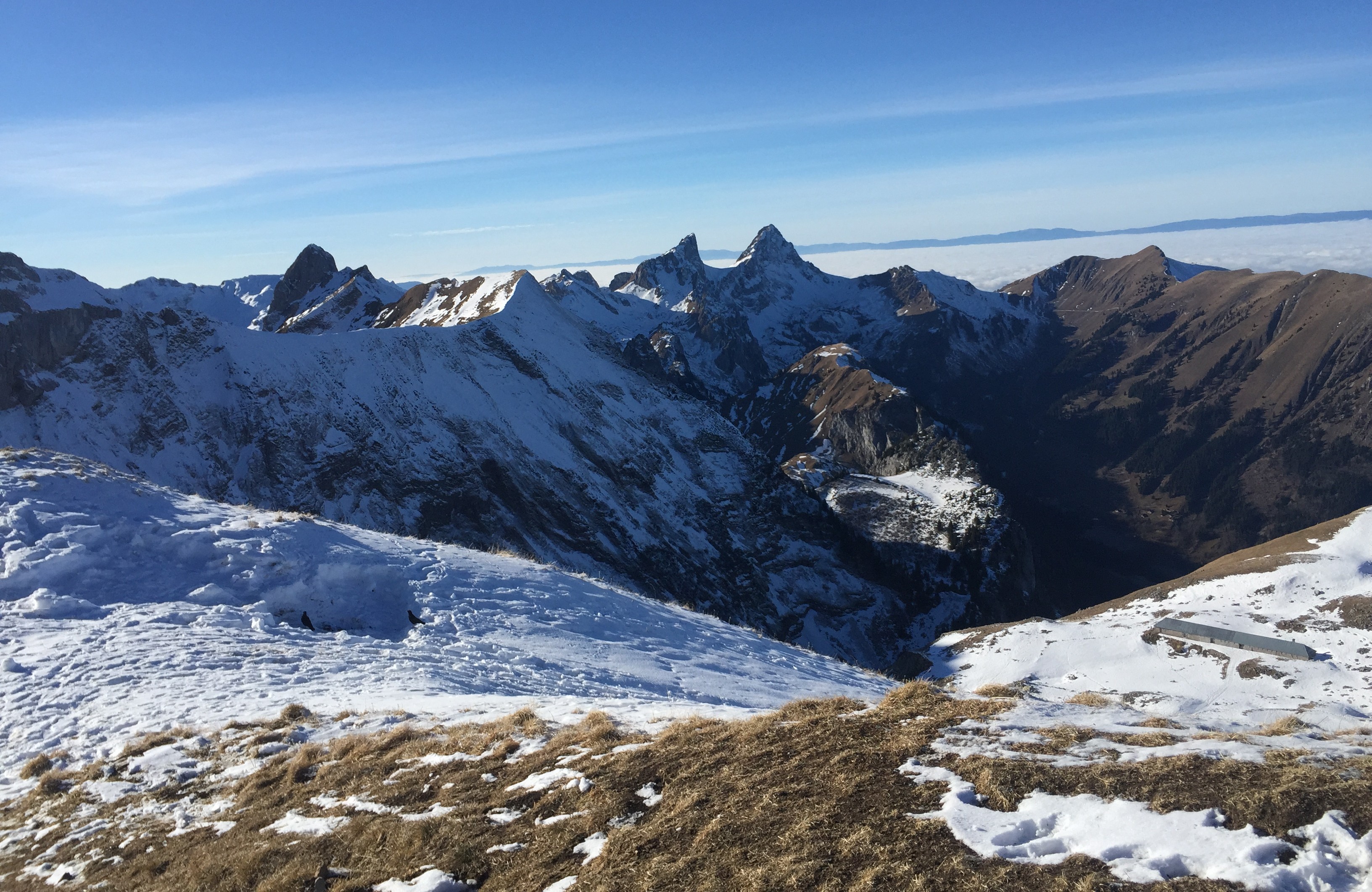 photo de Grammont (Le)