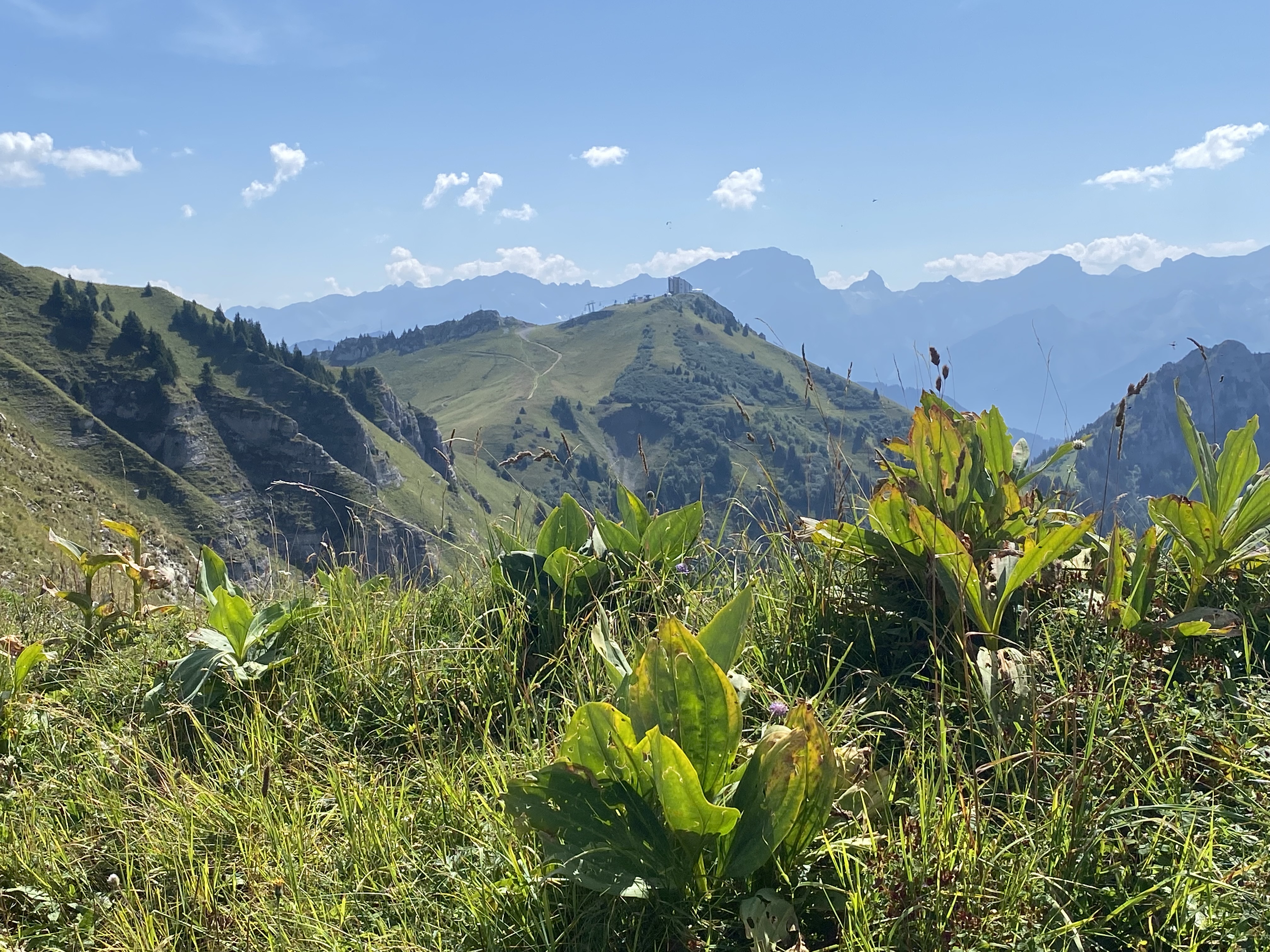 photo de Chaux de Mont (d'Aï)