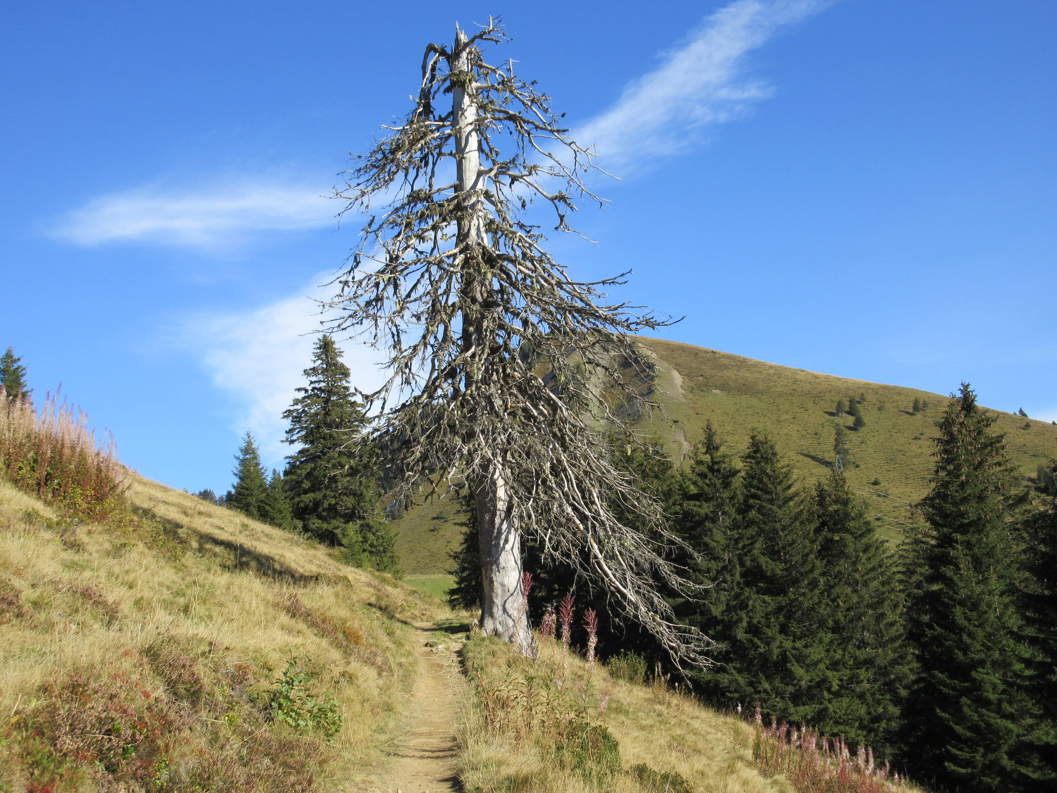 photo de Hundsrügg