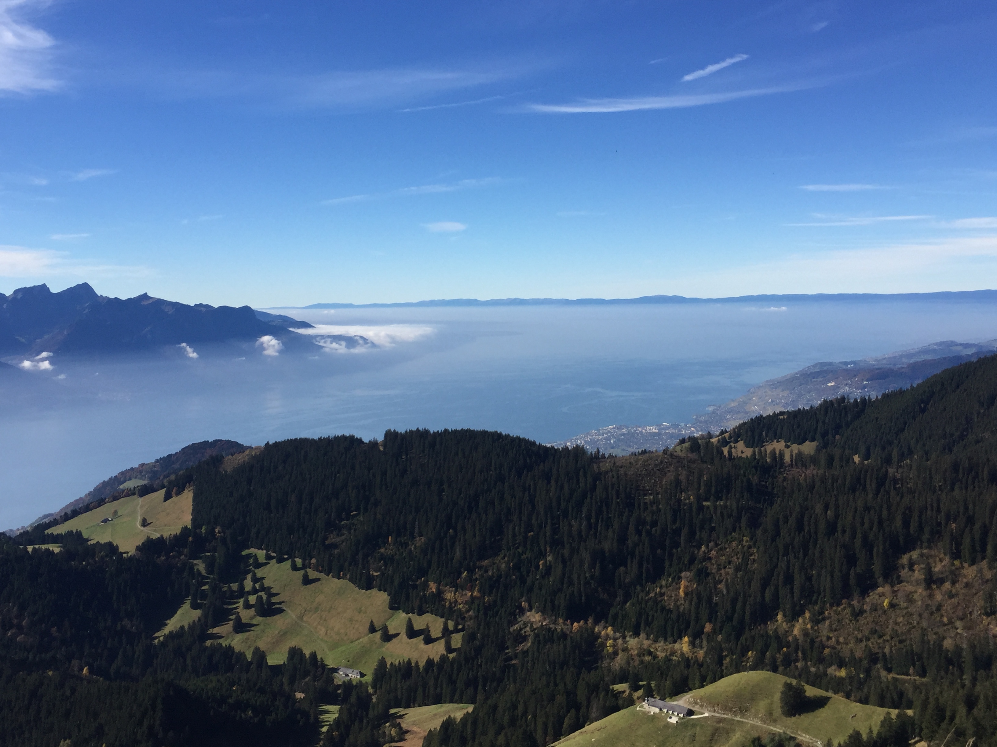 Brume aussi sur le lac Léman
