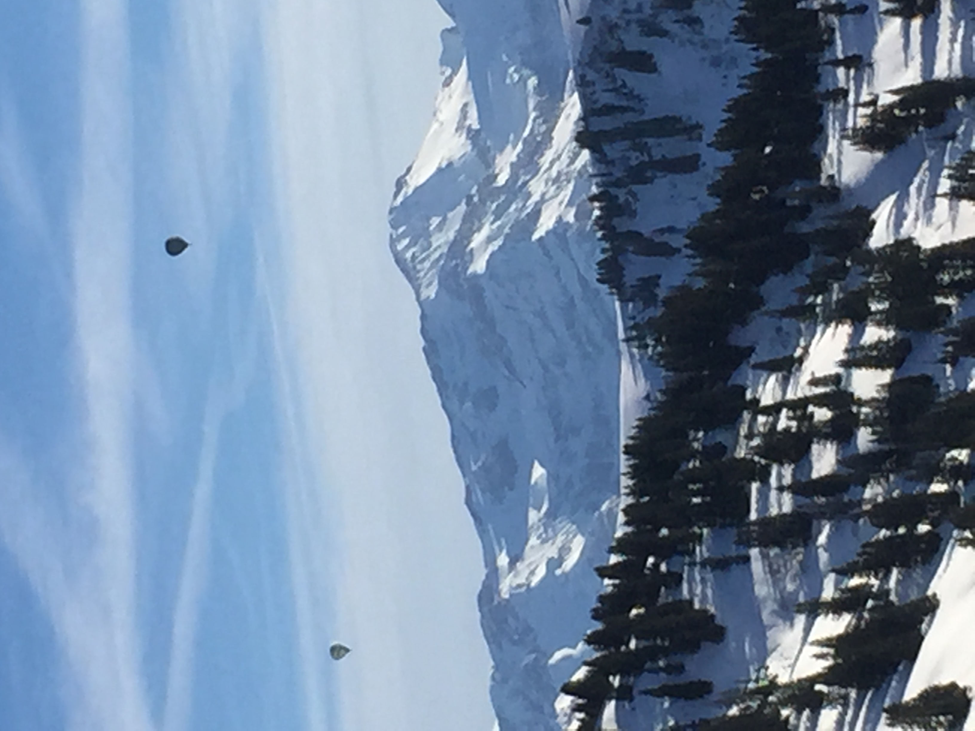 Des ballons du côté de Saanen