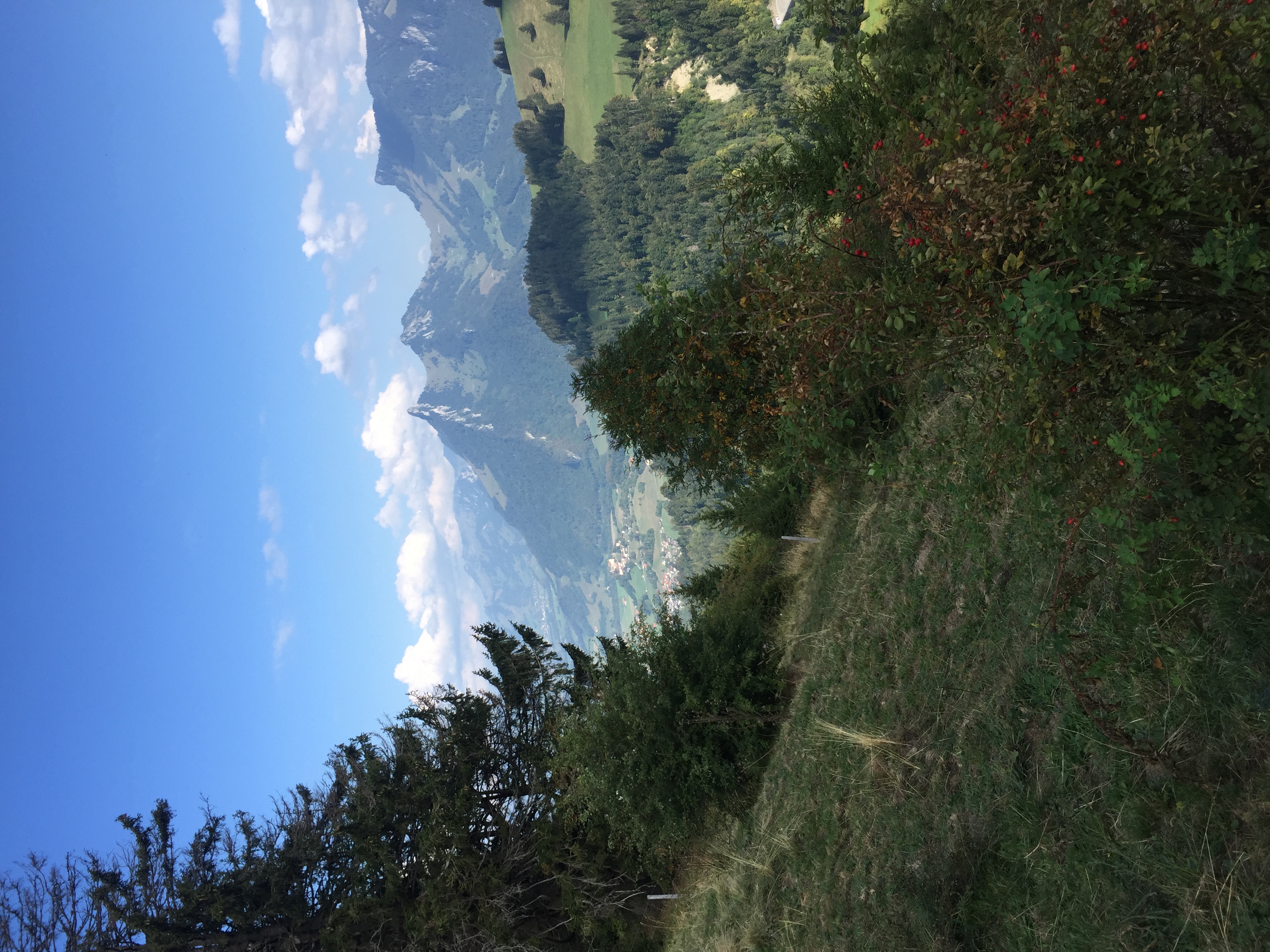 Vue sur les Dents de Broc, du Chamois et du Bourgo