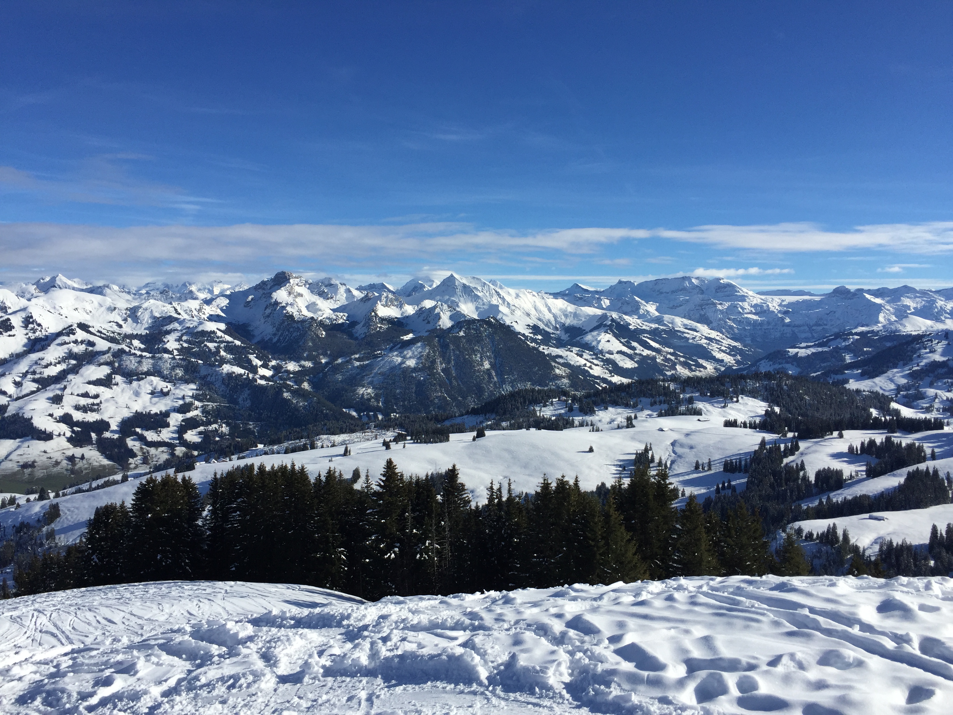 Vue sur les Alpes bernoises