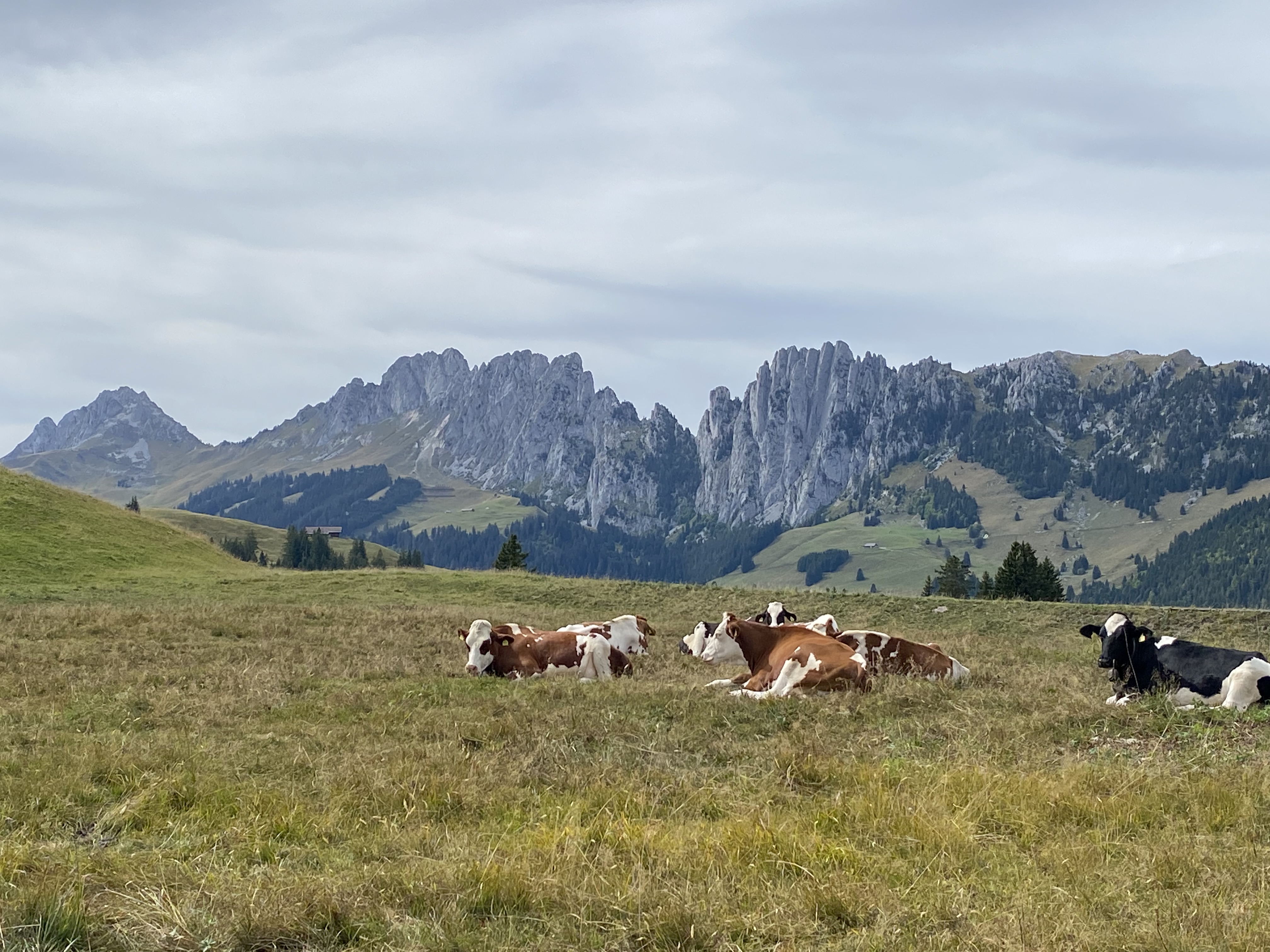 photo de Hundsrügg