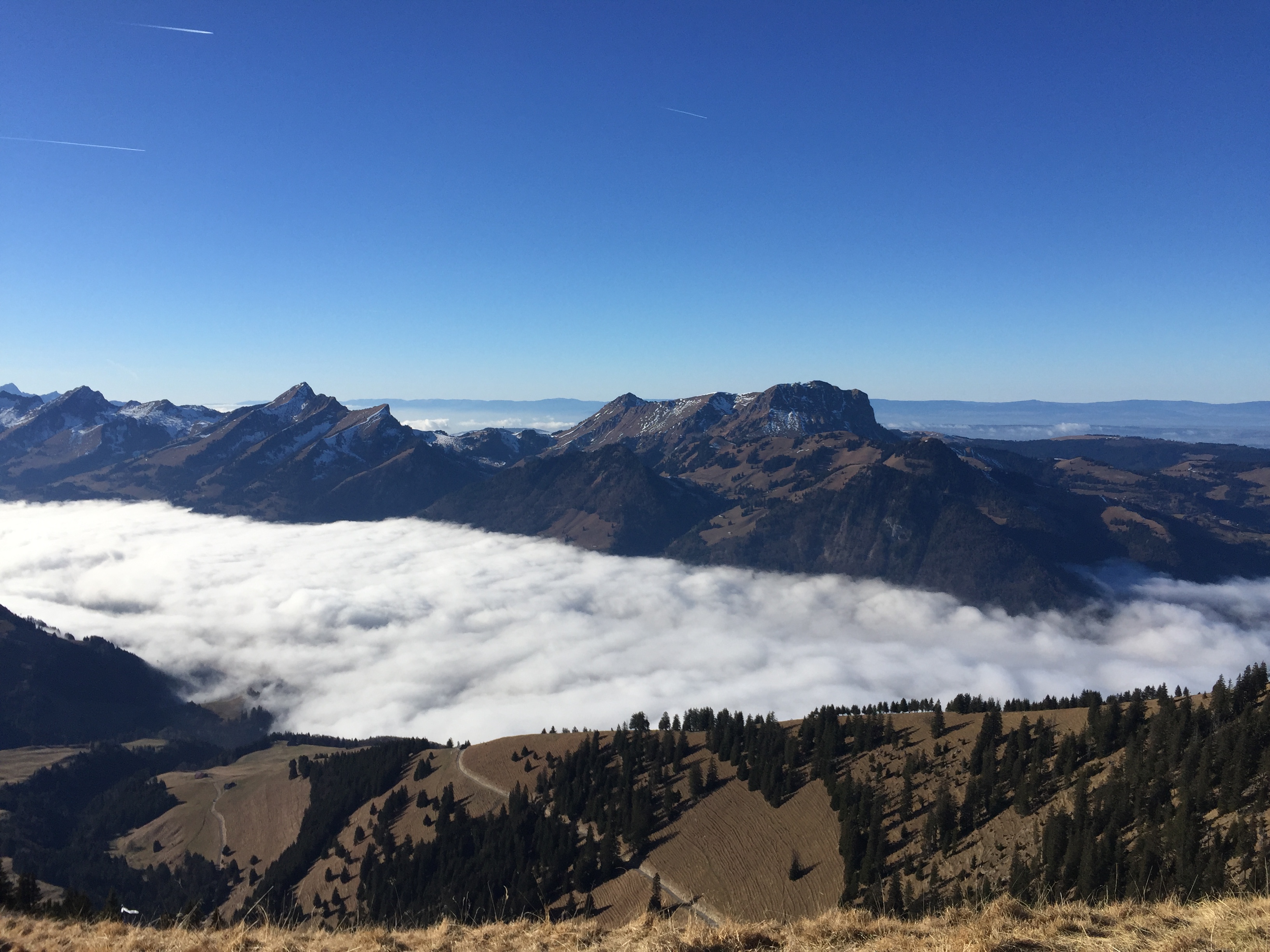 photo de Van (Le)