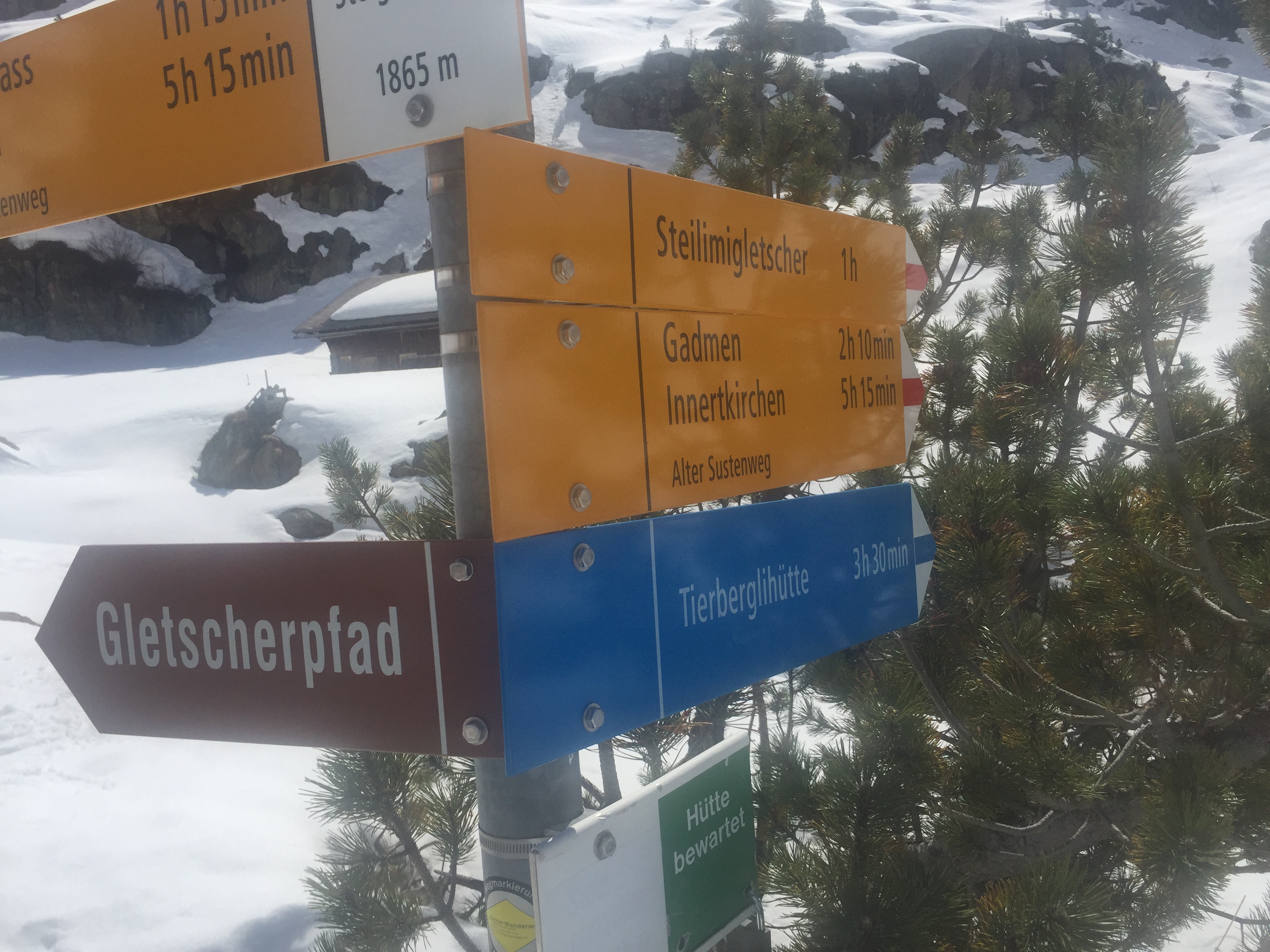 Steingletscher