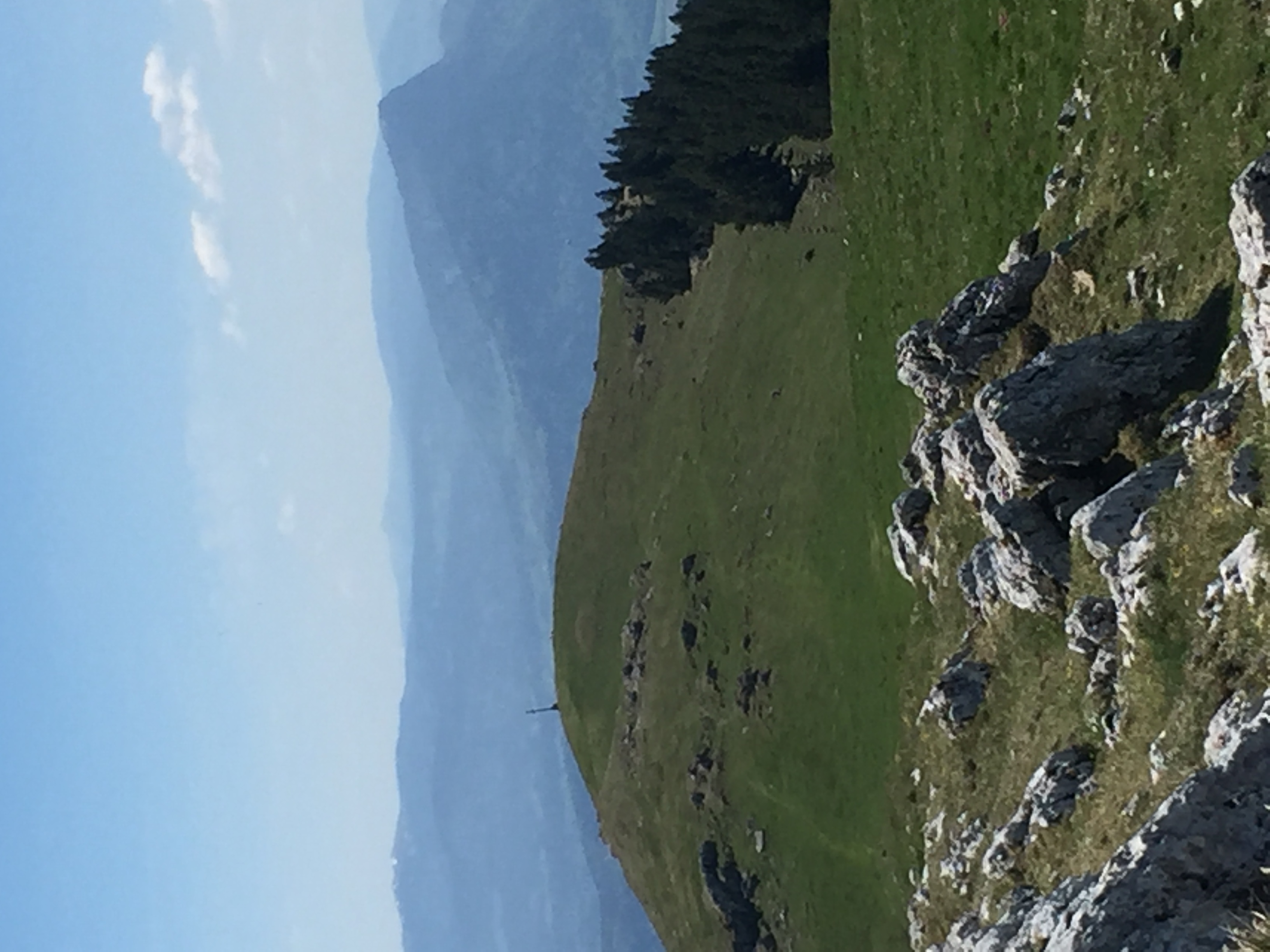 photo de Suchet (Le)