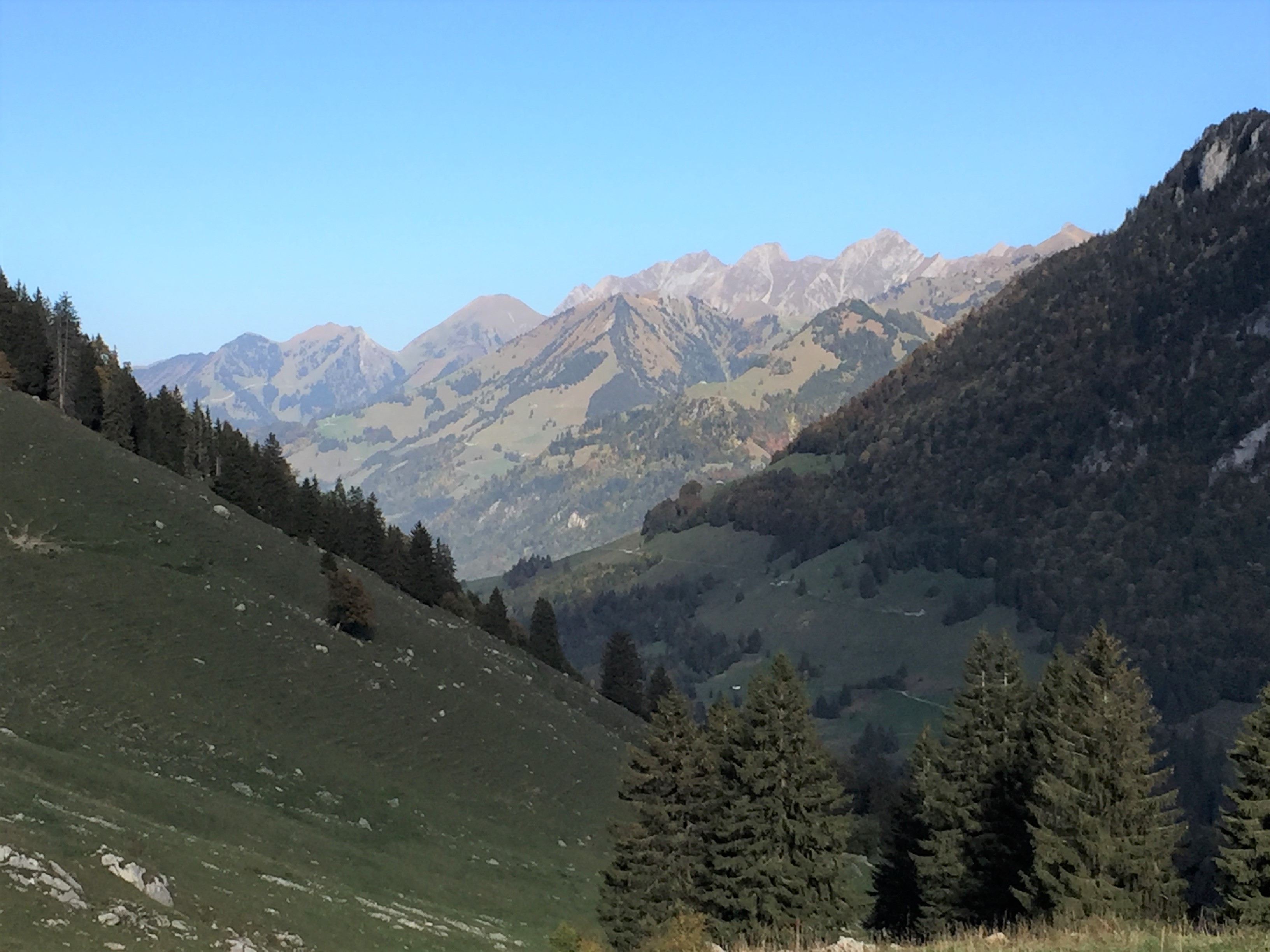 Les Vanils vus du Col de Jaman