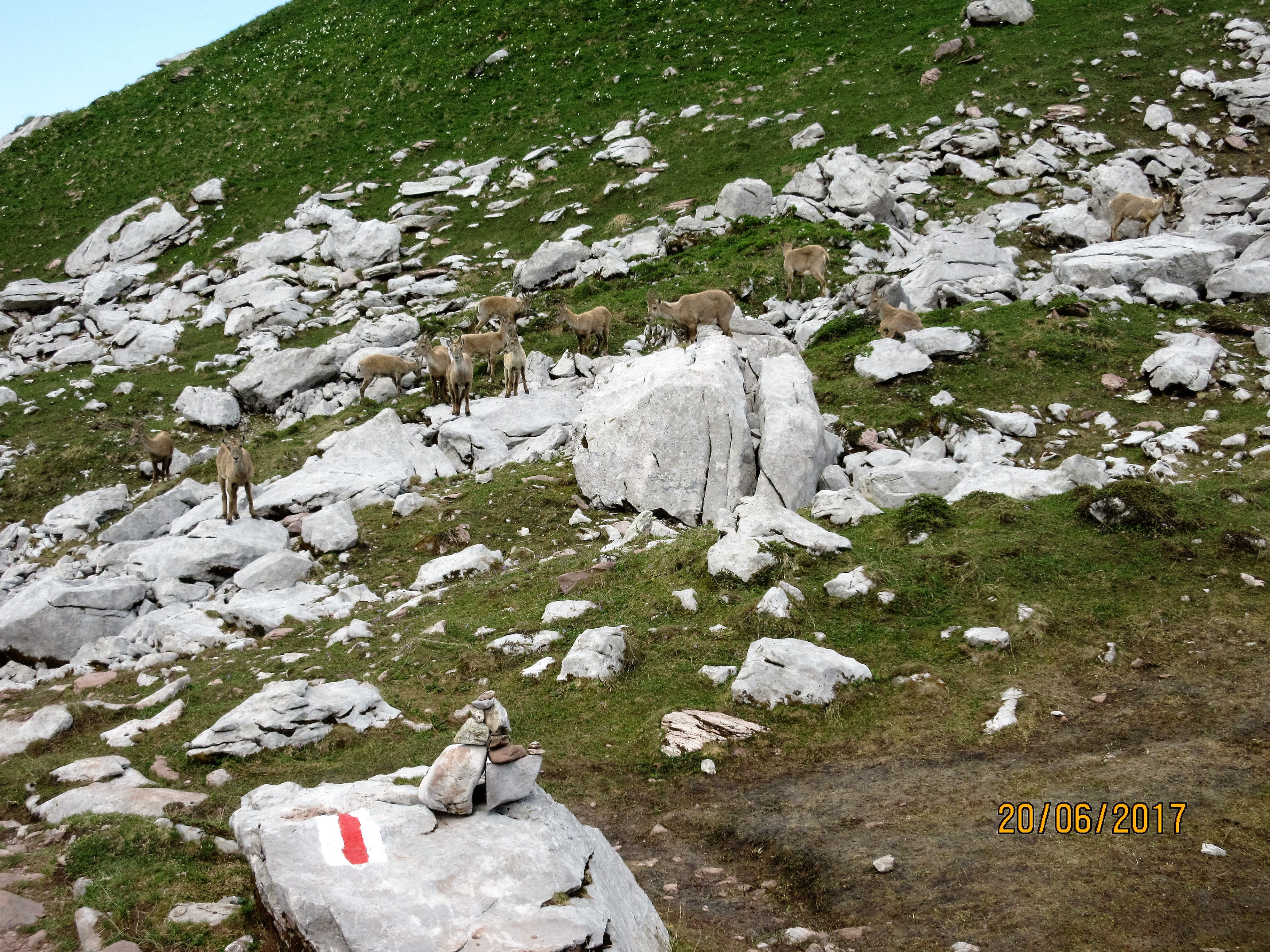photo de Cornettes de Bise (Les)