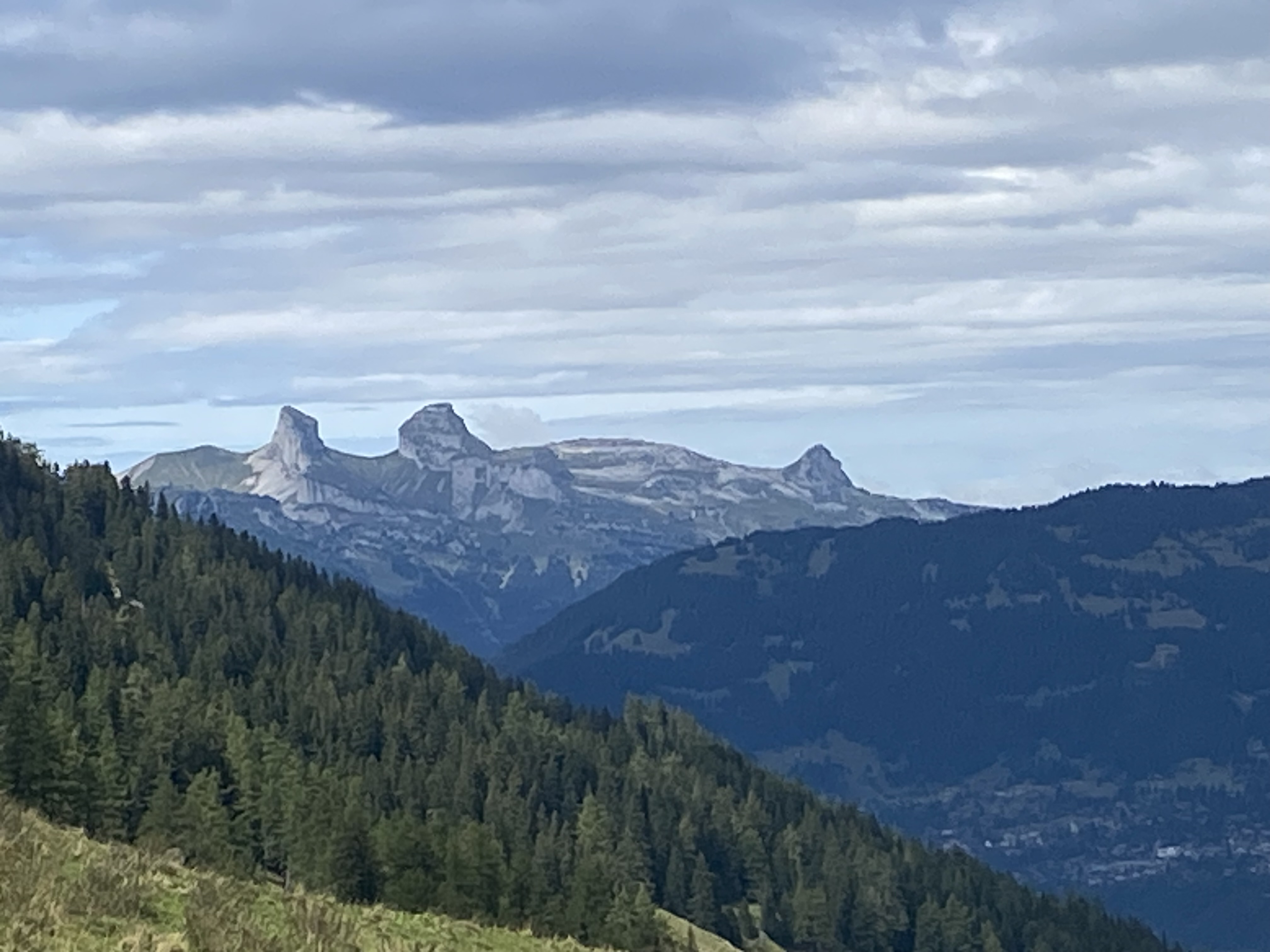 photo de Cabane de La Tourche