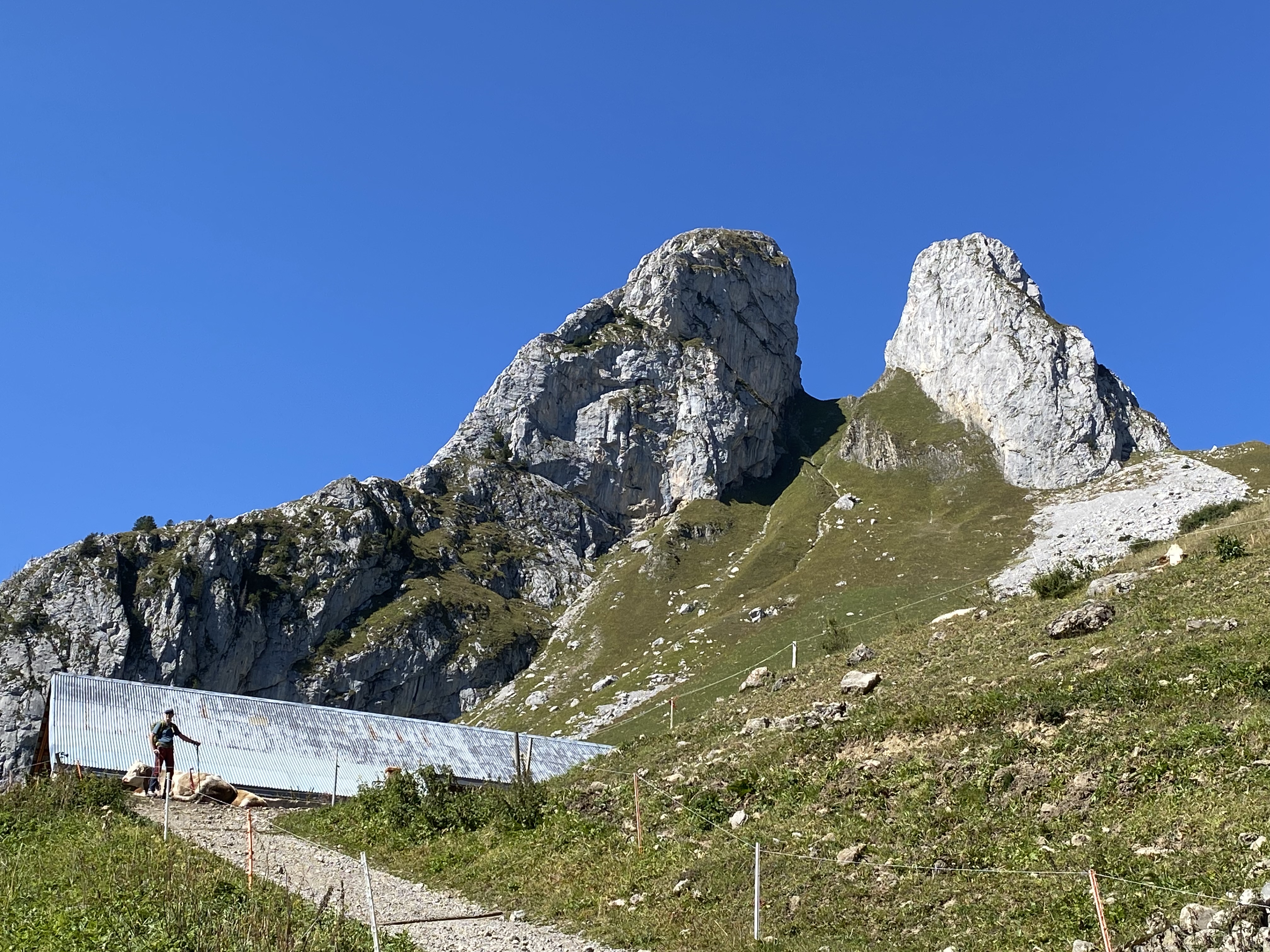 photo de Grammont (Le)