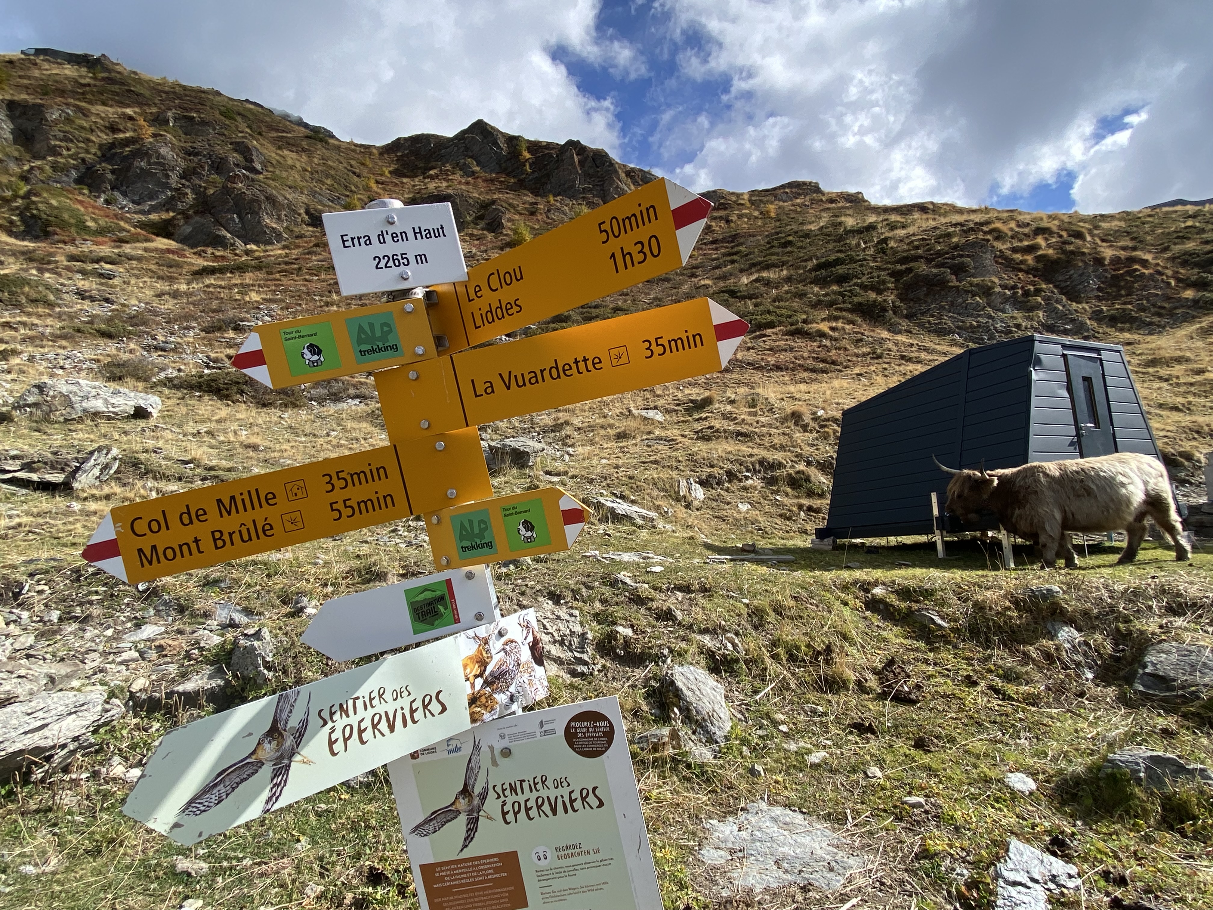 photo de Mont Brûlé